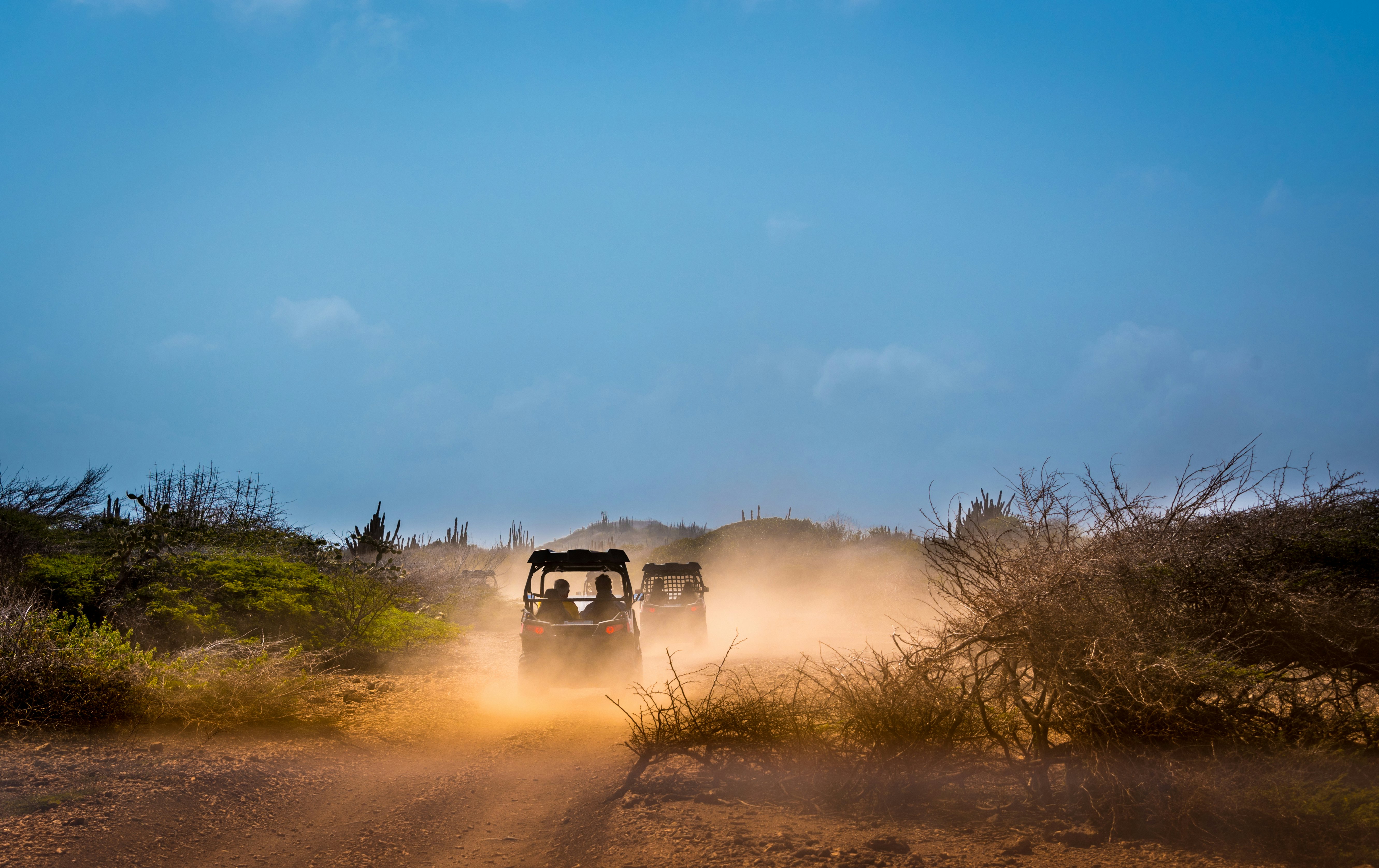 Two ATVs are pictured from behind as they drive on a rugged dirt road and kick up dust.