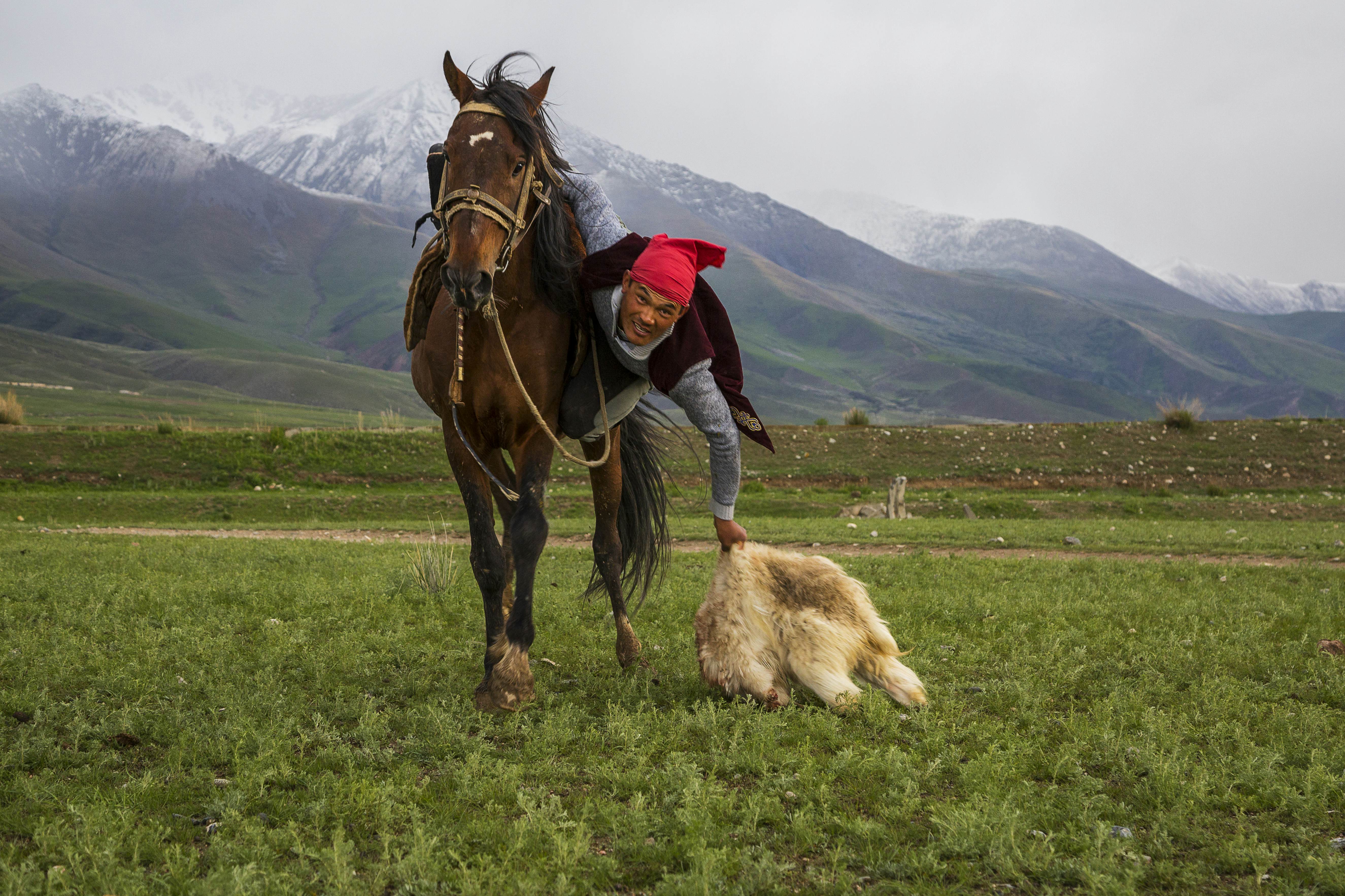 Nomadic horse rider picks up the goat carcass at the nomadic horse games in Issyk Kul, Kyrgyzstan.