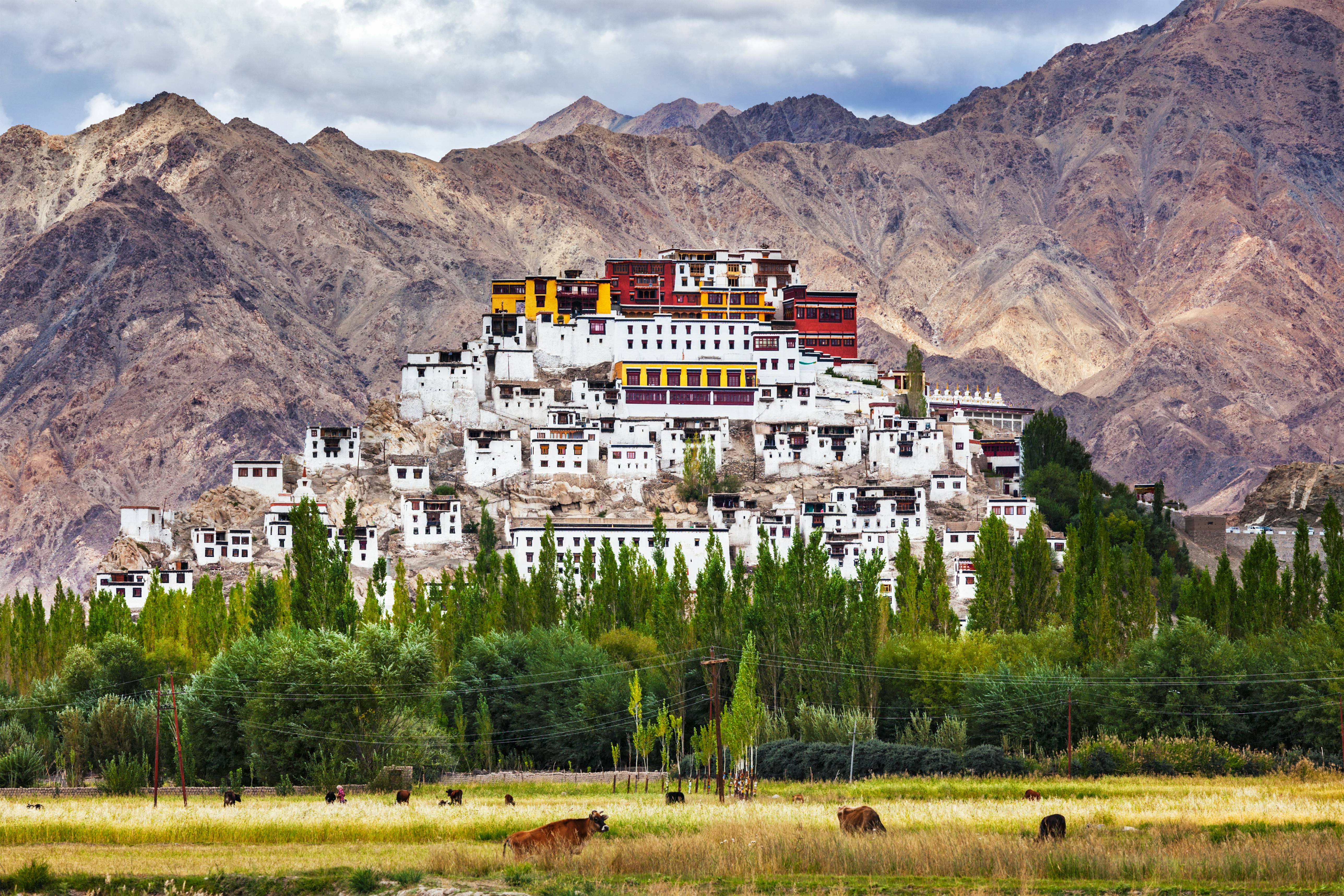 A view of a large Buddhist monastery, with white buildings and a red-and-yellow fortress at the top of a hill. Mountains loom in the distance.