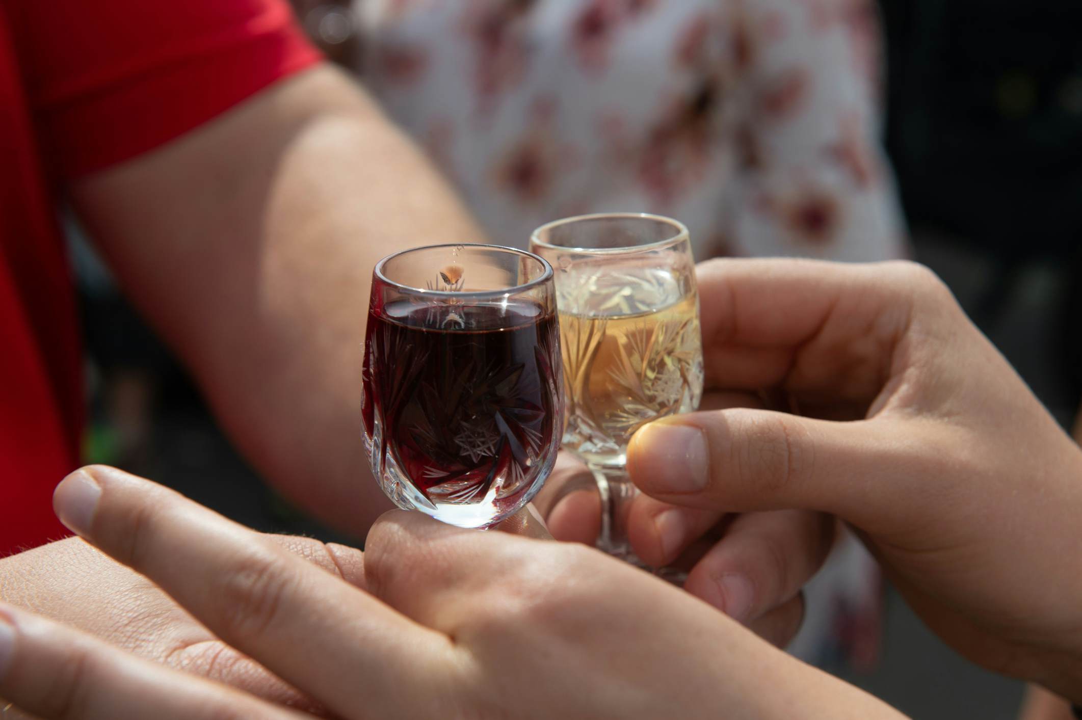 Two people toast with glasses of flavored vodka in Poland.