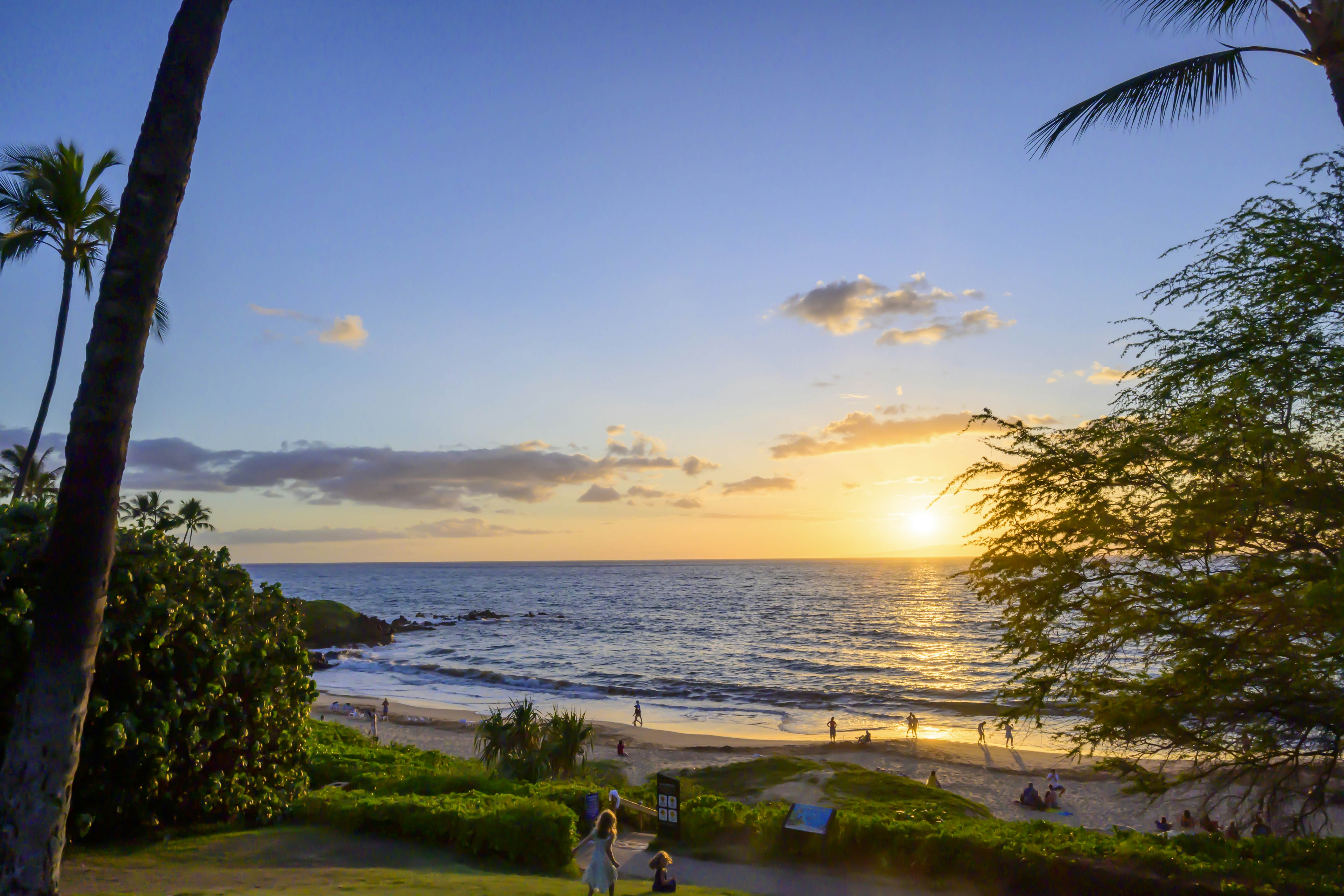 A beach and the ocean at sunset viewed from an elevated beachside path