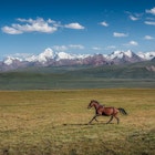 1500378548
The Steppe of Sary Dhaz Valley, Kyrgyzstan with Tien-Shan mountain range view in the background - stock photo