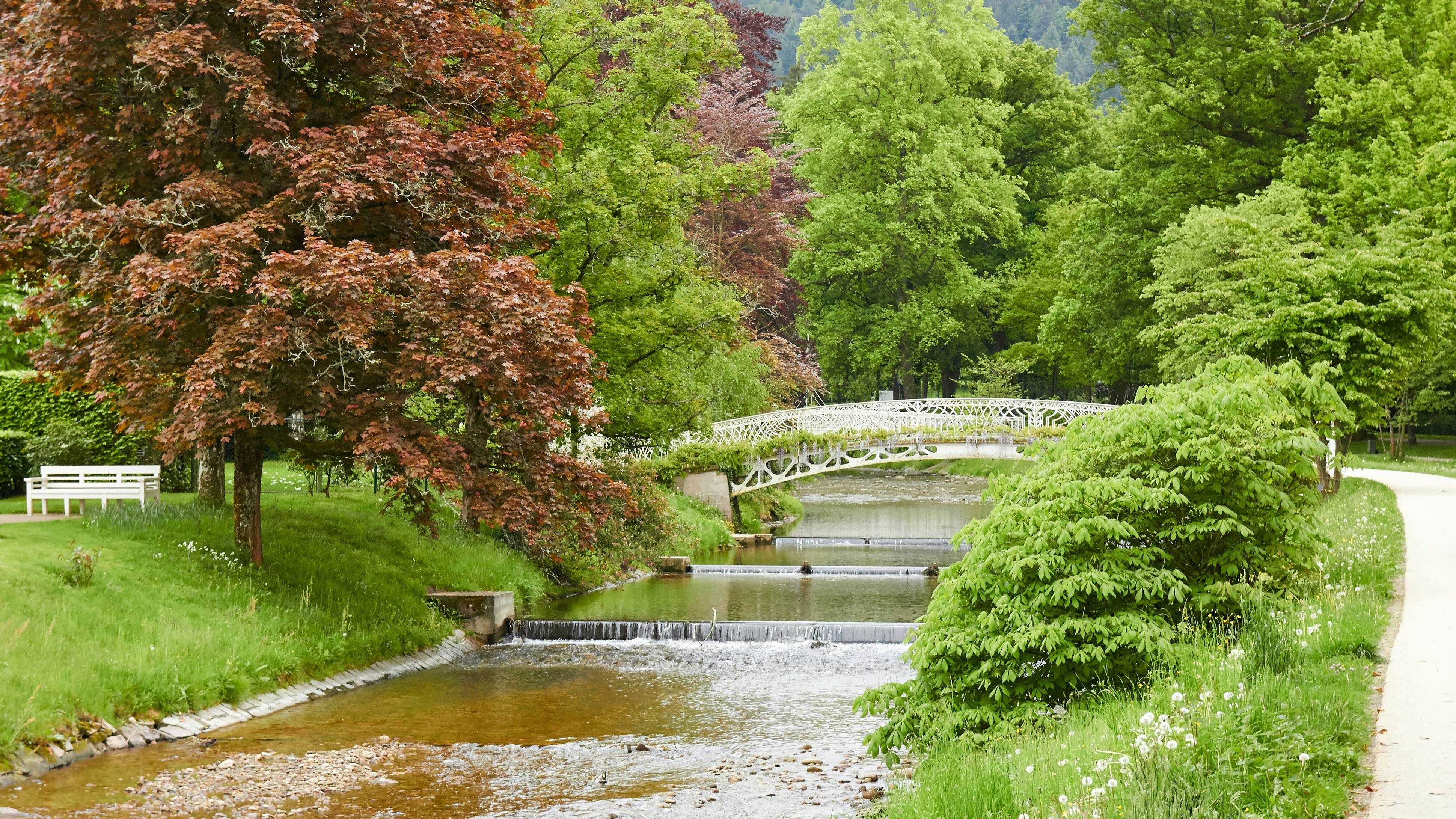 A view of trees and a bridge in the Lichtentaler Allee in Baden-Baden.