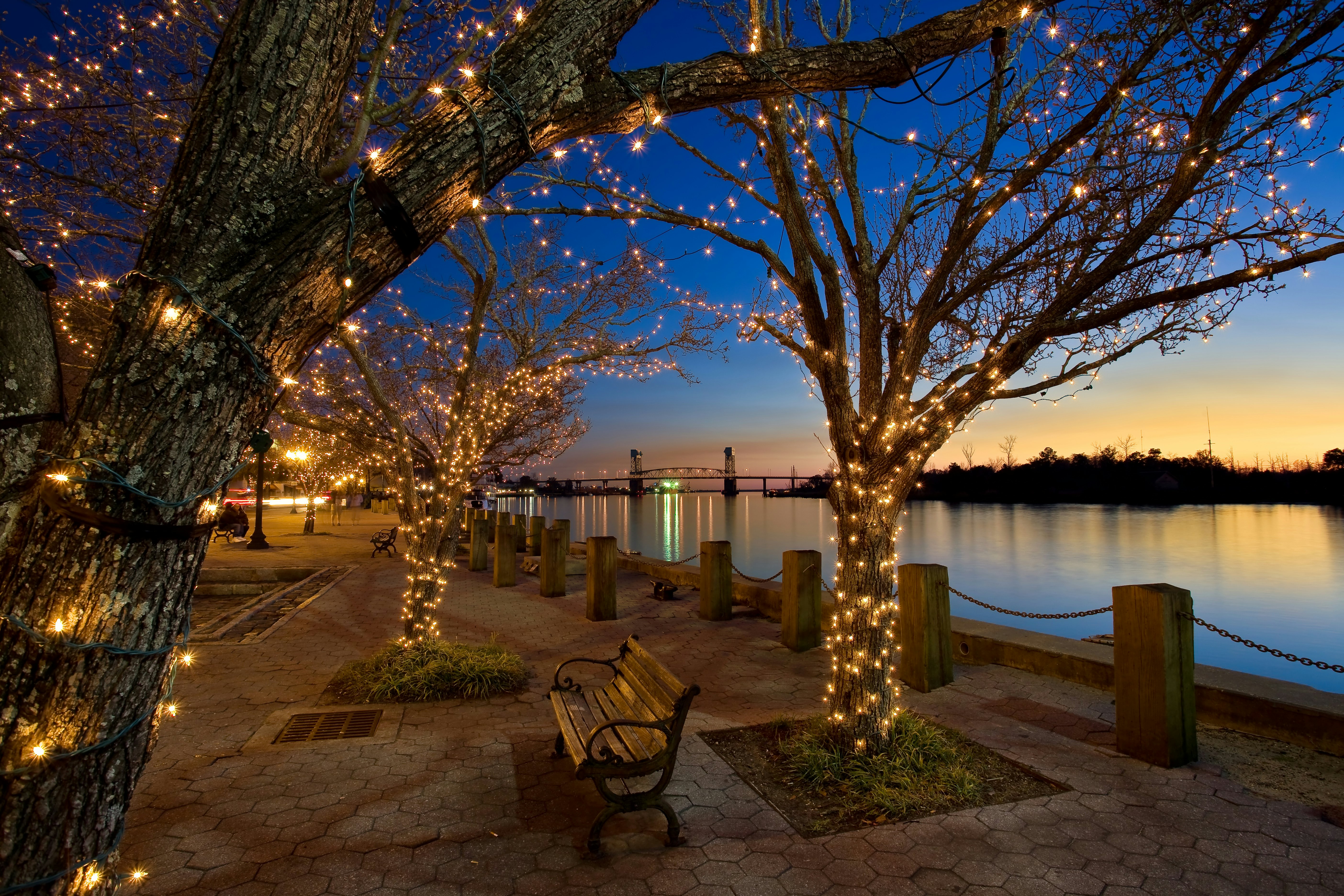 Lights wrapped around trees at sunset on the Wilmington Riverfront in Wilmington, Delaware.