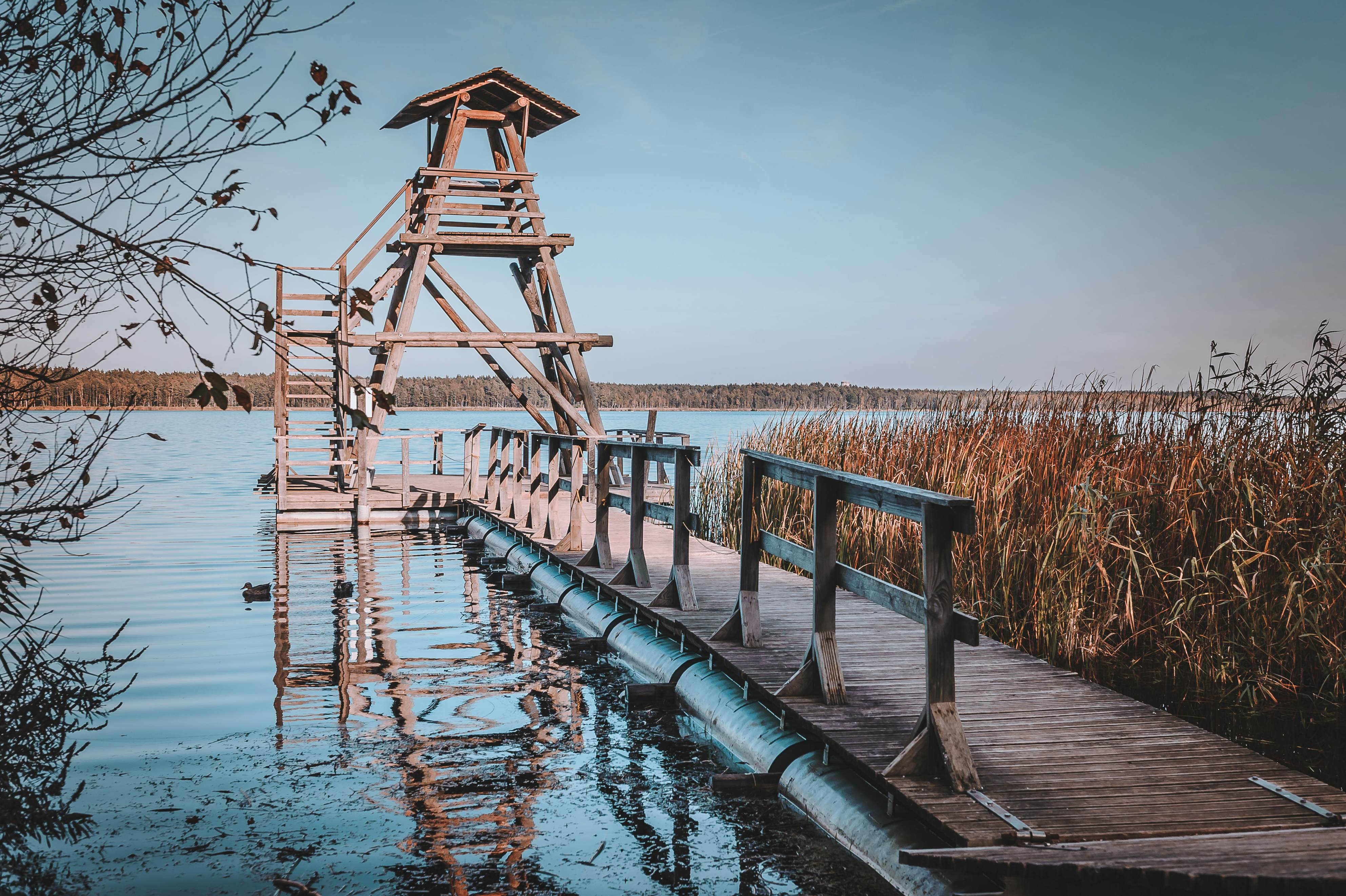 A birdwatching tower on Slokas Lake in Kemeri National Park, Latvia.