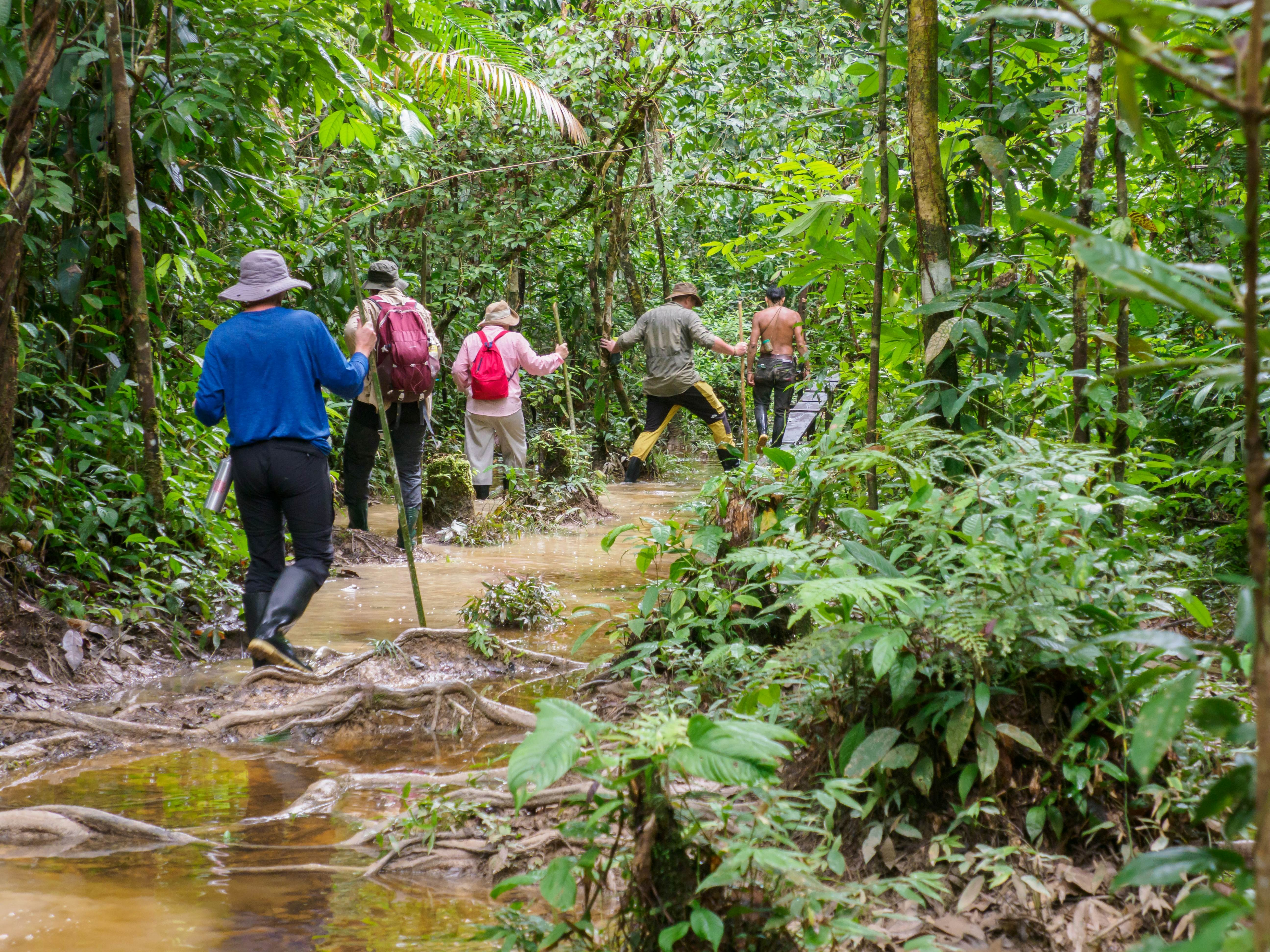 Trekking through rainforest of the Amazon jungle in Leticia, Colombia