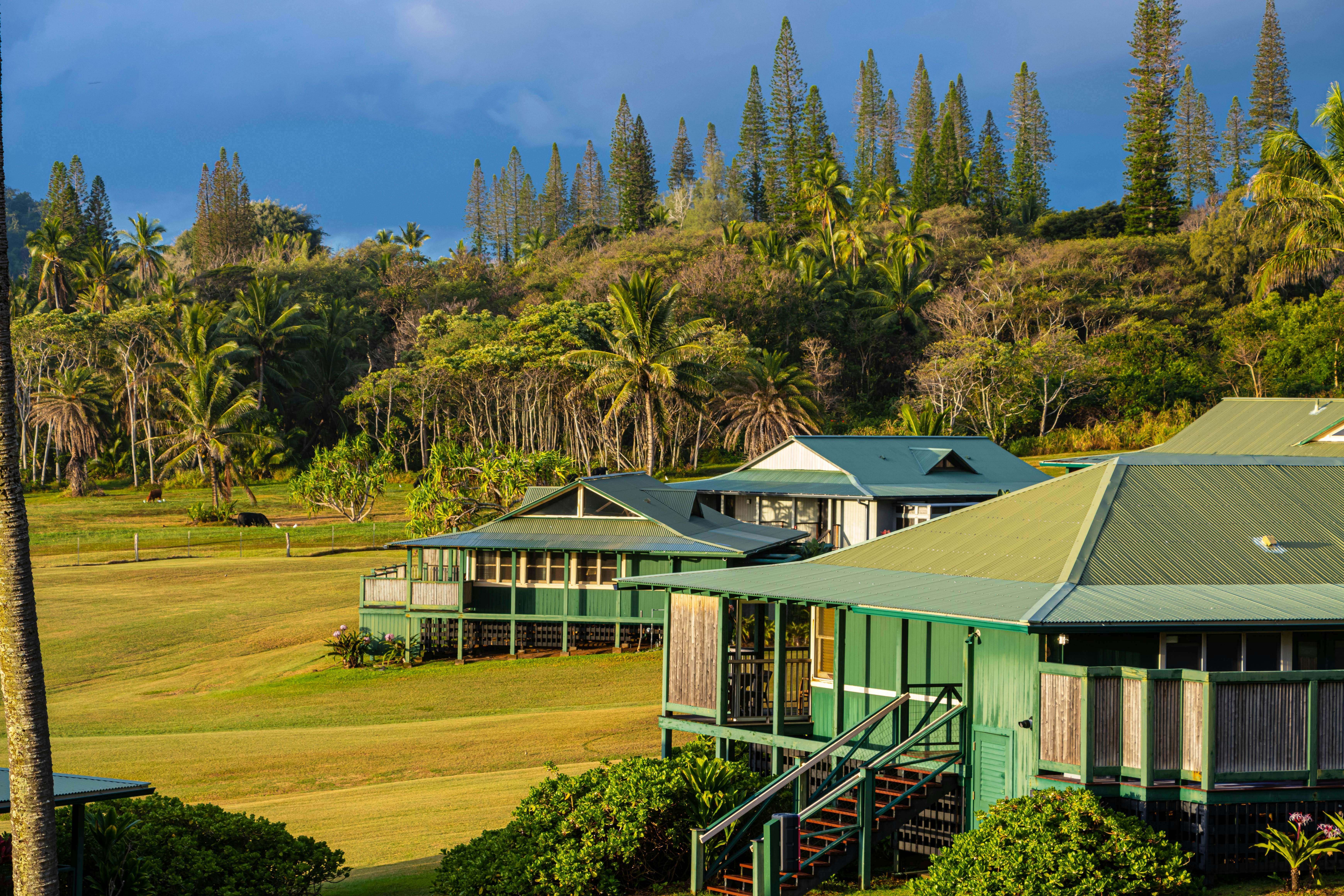 Green bungalows at Kaihalulu Bay in Maui