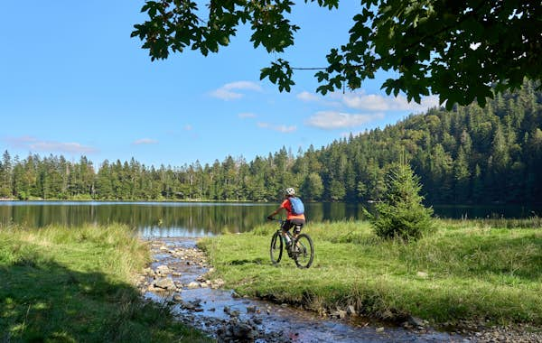 See the best of Germany’s Black Forest with this 9-day itinerary