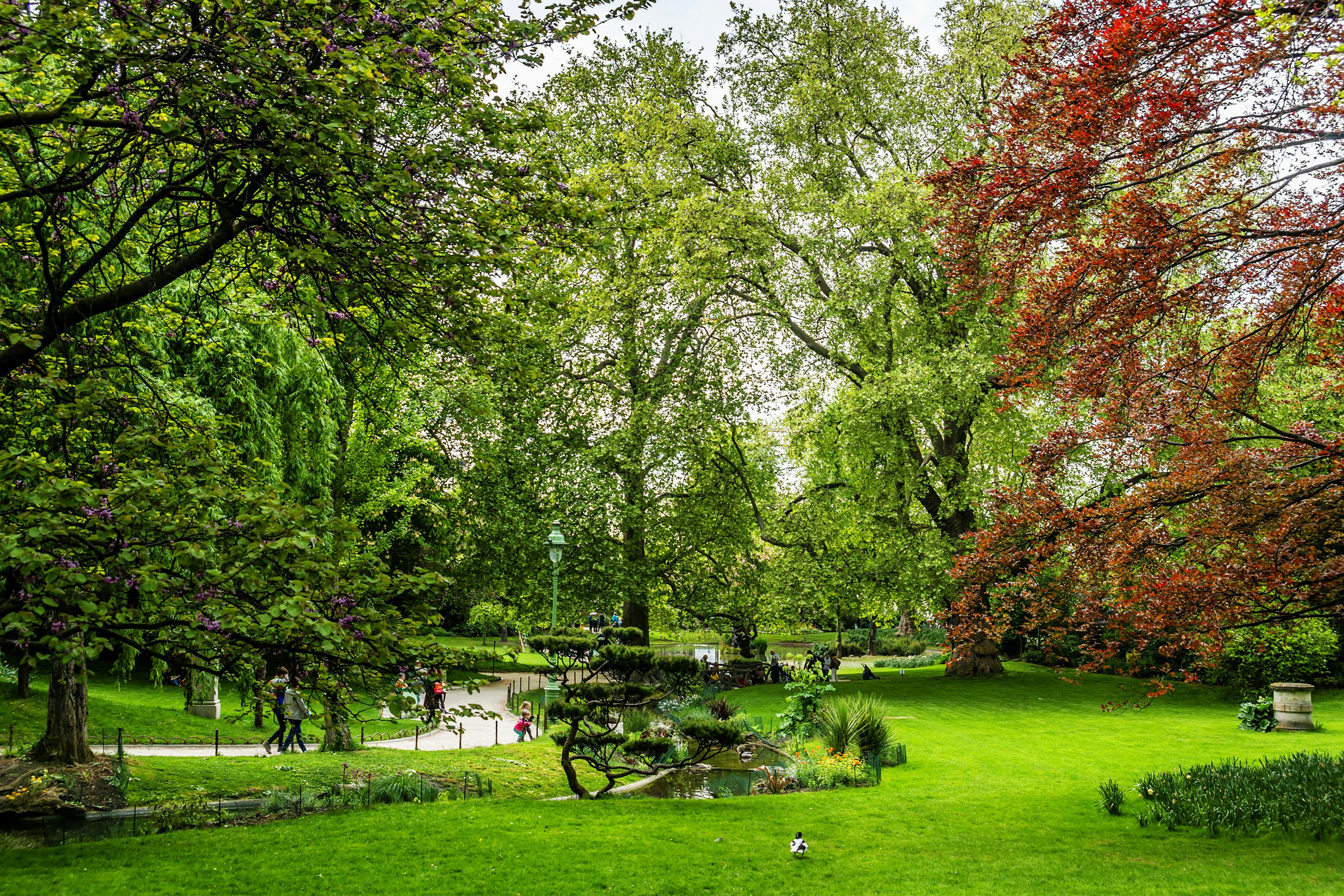 Clichy-Batignolles - Martin Luther King park is a public green area of 6.5 hectares in Paris in the Batignolles district, close Square des Batignolles.