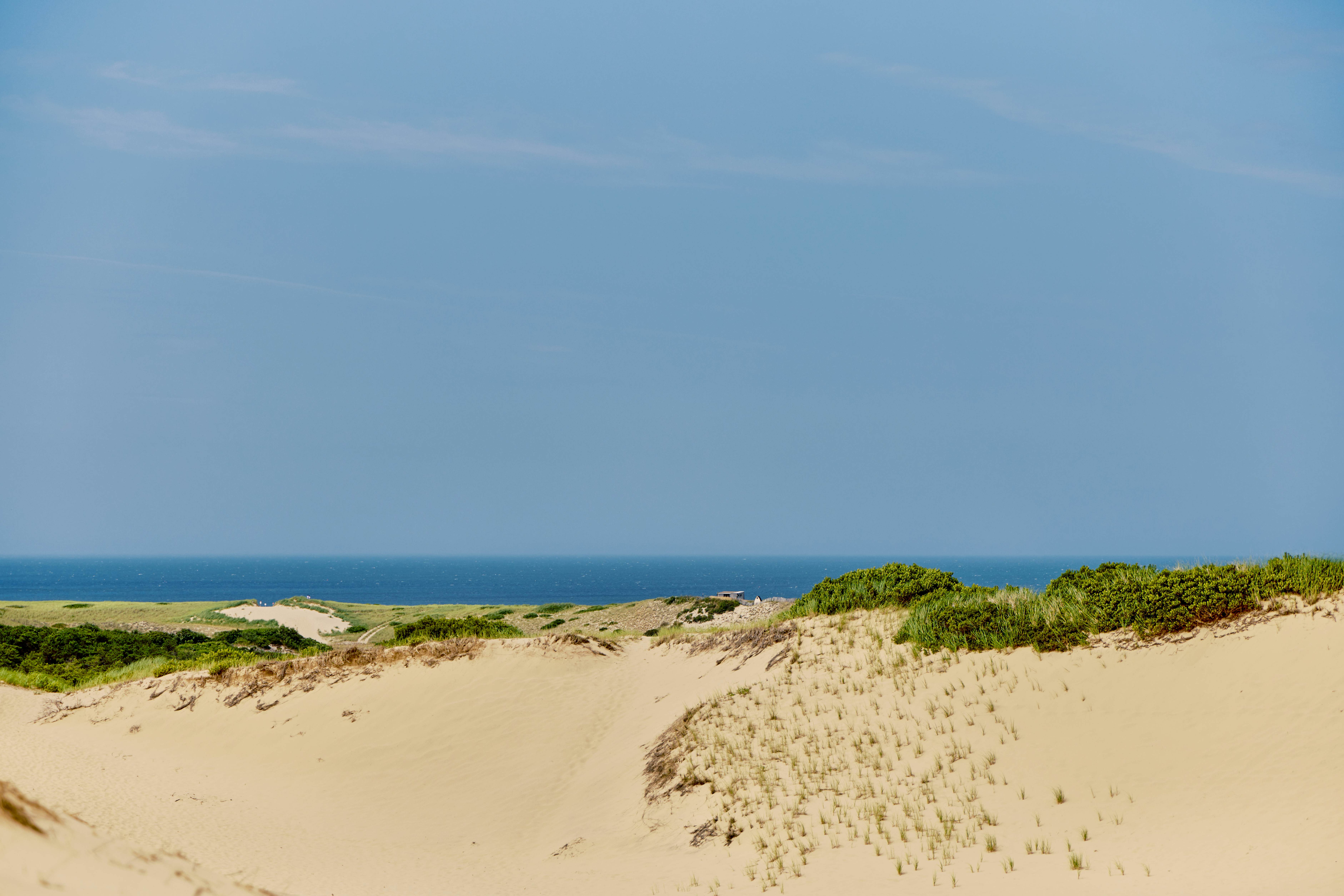 Dunes of beige sand with tufts of grass in front of a low horizon where blue sea and sky meet.