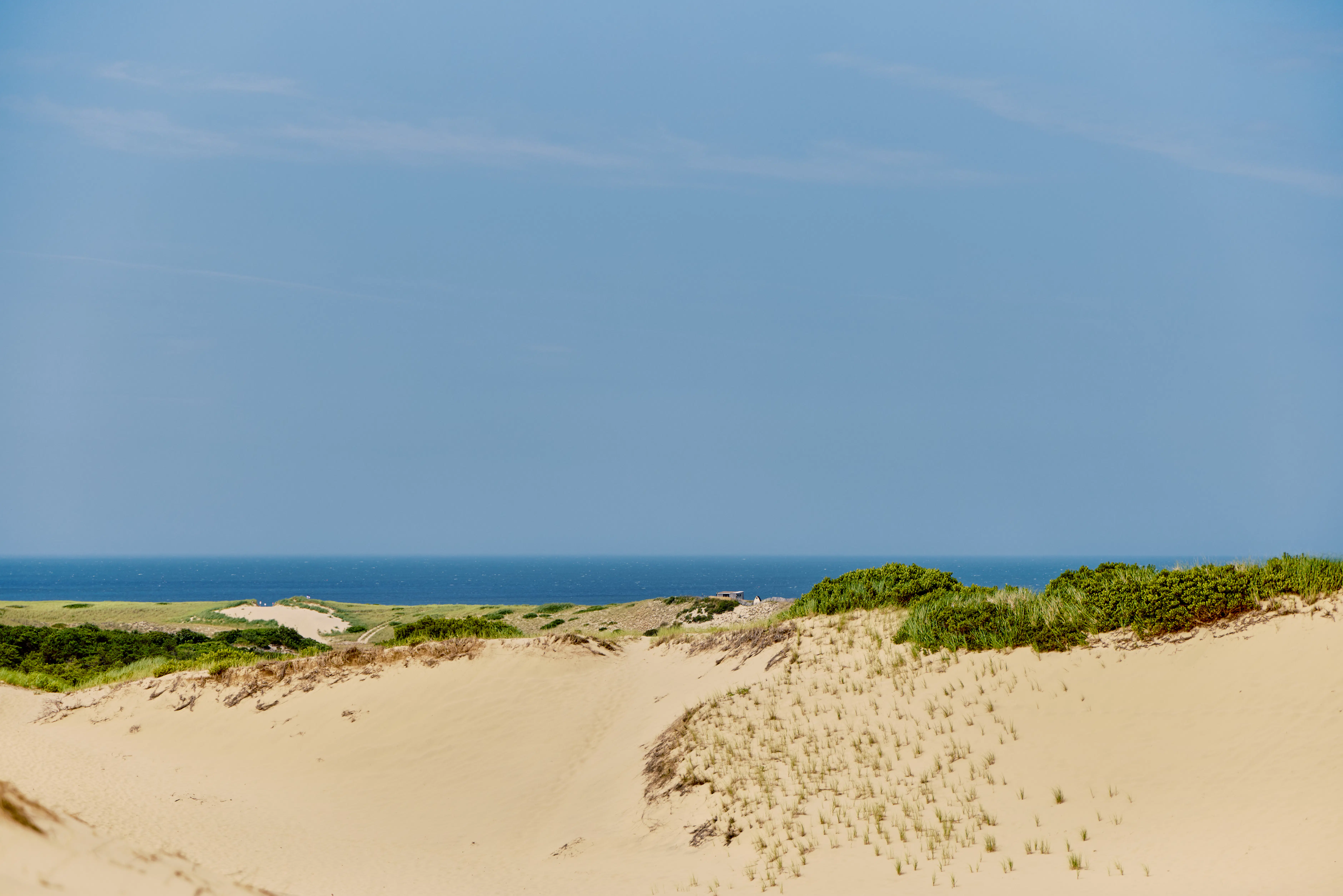 Dunes of beige sand with tufts of grass in front of a low horizon where blue sea and sky meet.