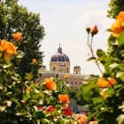 View of the Naturhistorisches Museum dome through the flowers, License Type: media, Download Time: 2025-02-10T20:42:38.000Z, User: rhylton_redventures, Editorial: false, purchase_order: 56530 - Guidebooks, job: Lonely Planet WIP, client: Lonely Planet WIP, other: Rhianydd Hylton
