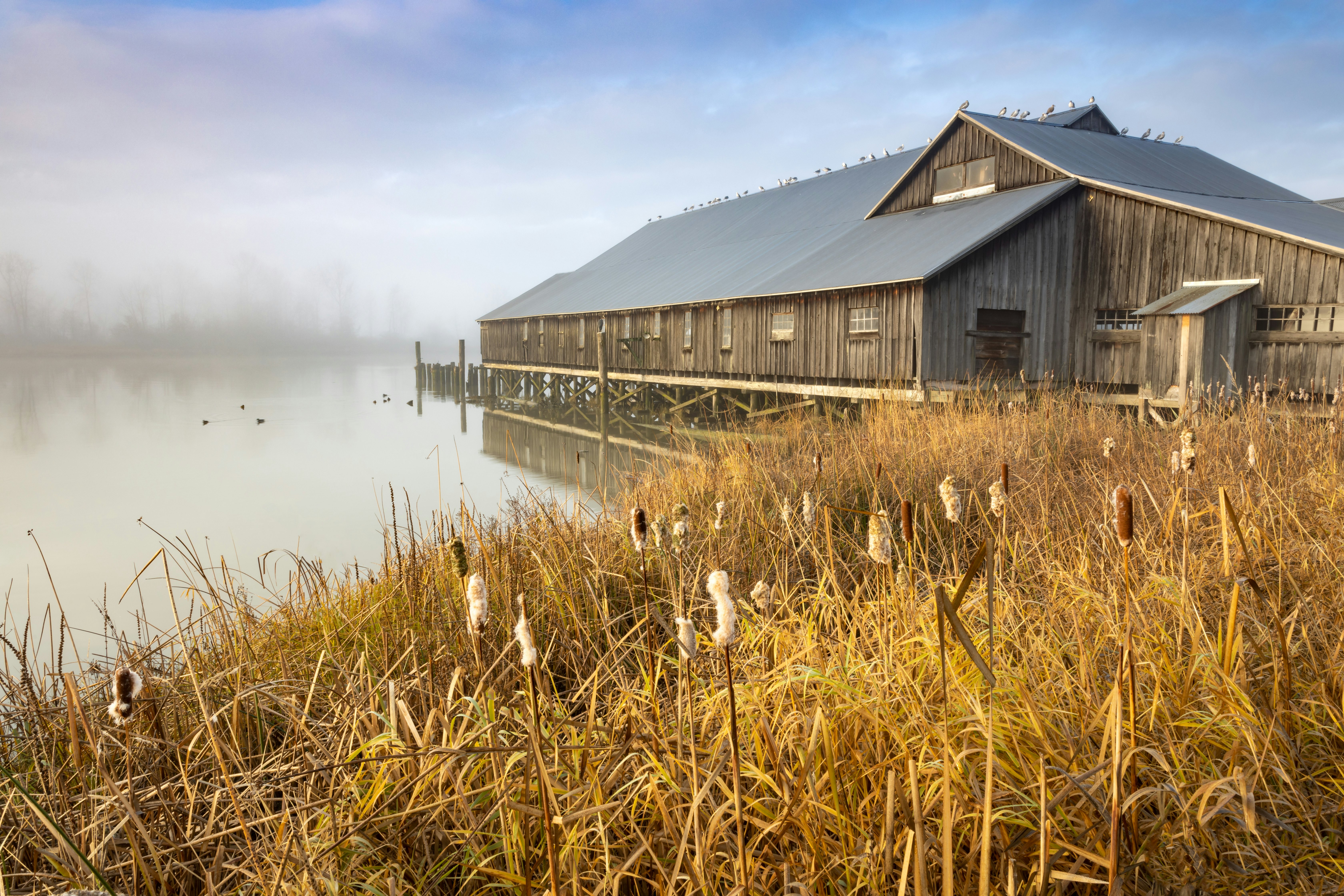 A wooden building built on a pier over misty water; dry grasses are in the foreground.