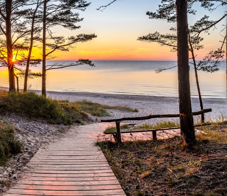 A boardwalk leading through pines to a beach at sunset in Jurmala, Latvia.