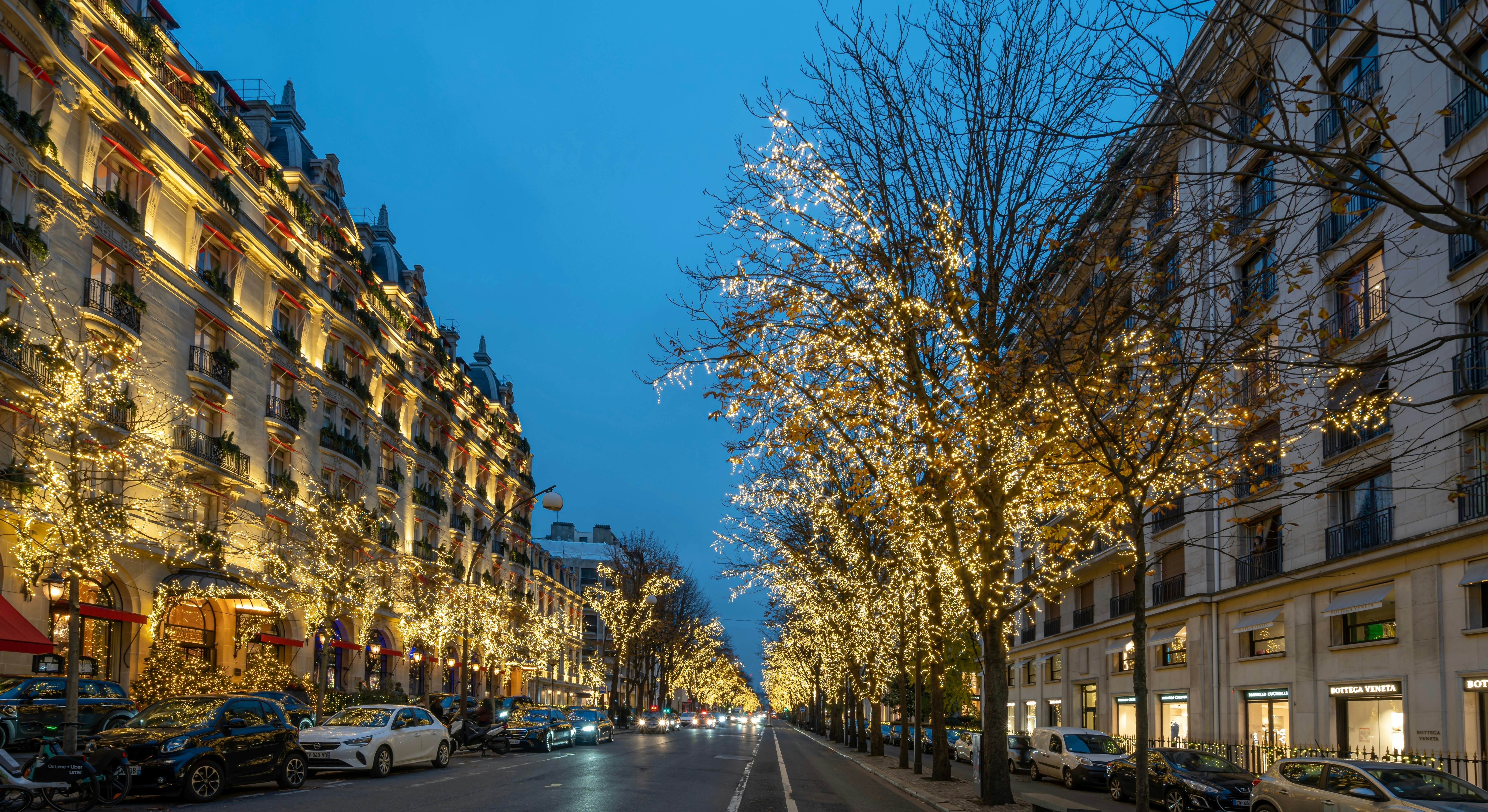 Trees are festooned with holiday lights along an avenue lined with apartment buildings and hotels in a city.