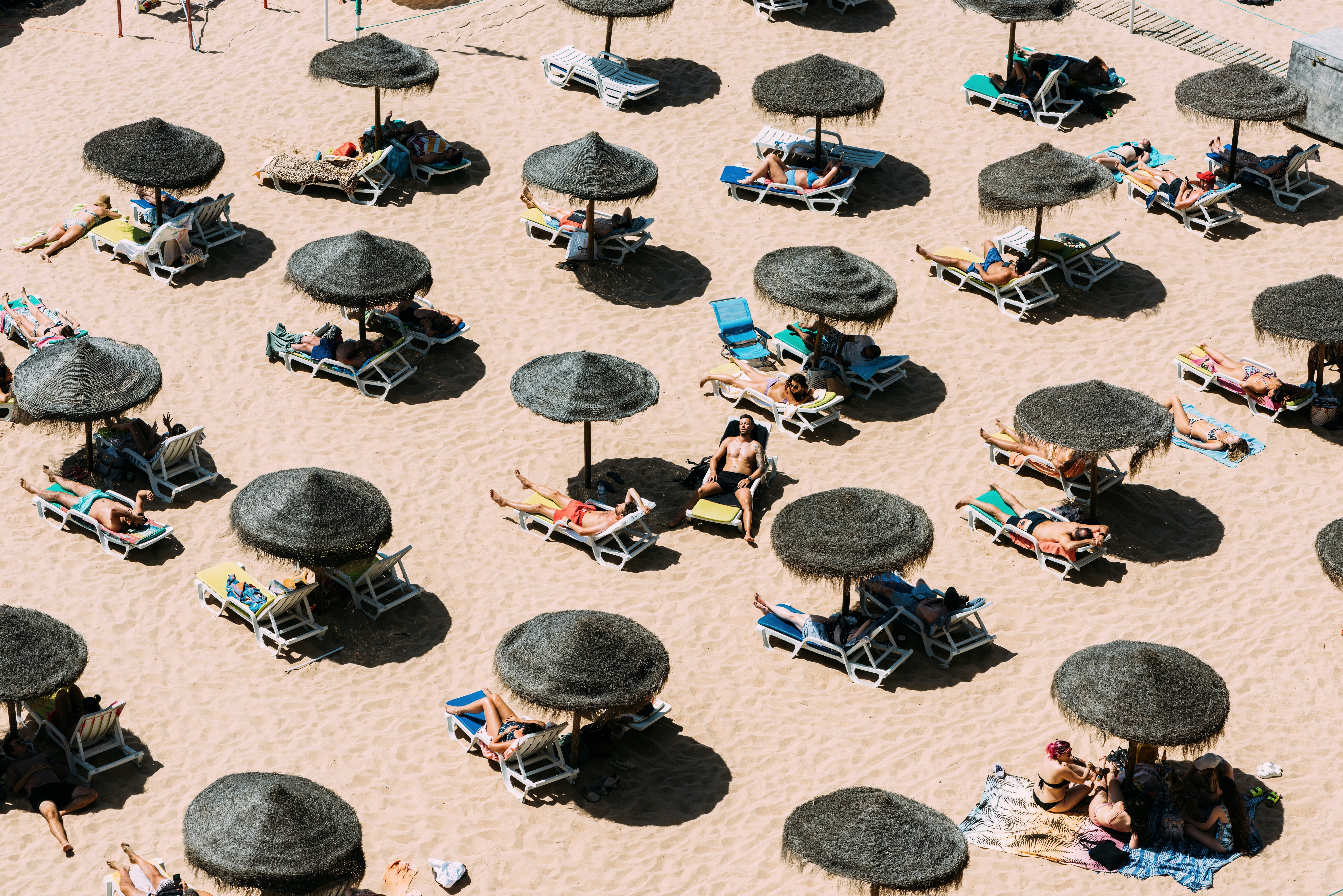 People sunning on a beach under strawlike black umbrellas arranged at even intervals on the sand