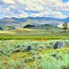 Lamar Valley in Yellowstone National Park, Wyoming in summer; Shutterstock ID 242994568; purchase_order:65050 - Digital Destinations and Articles; job:Online editorial; client:Grand Teton and Yellowstone road trip; other:Claire Naylor
242994568