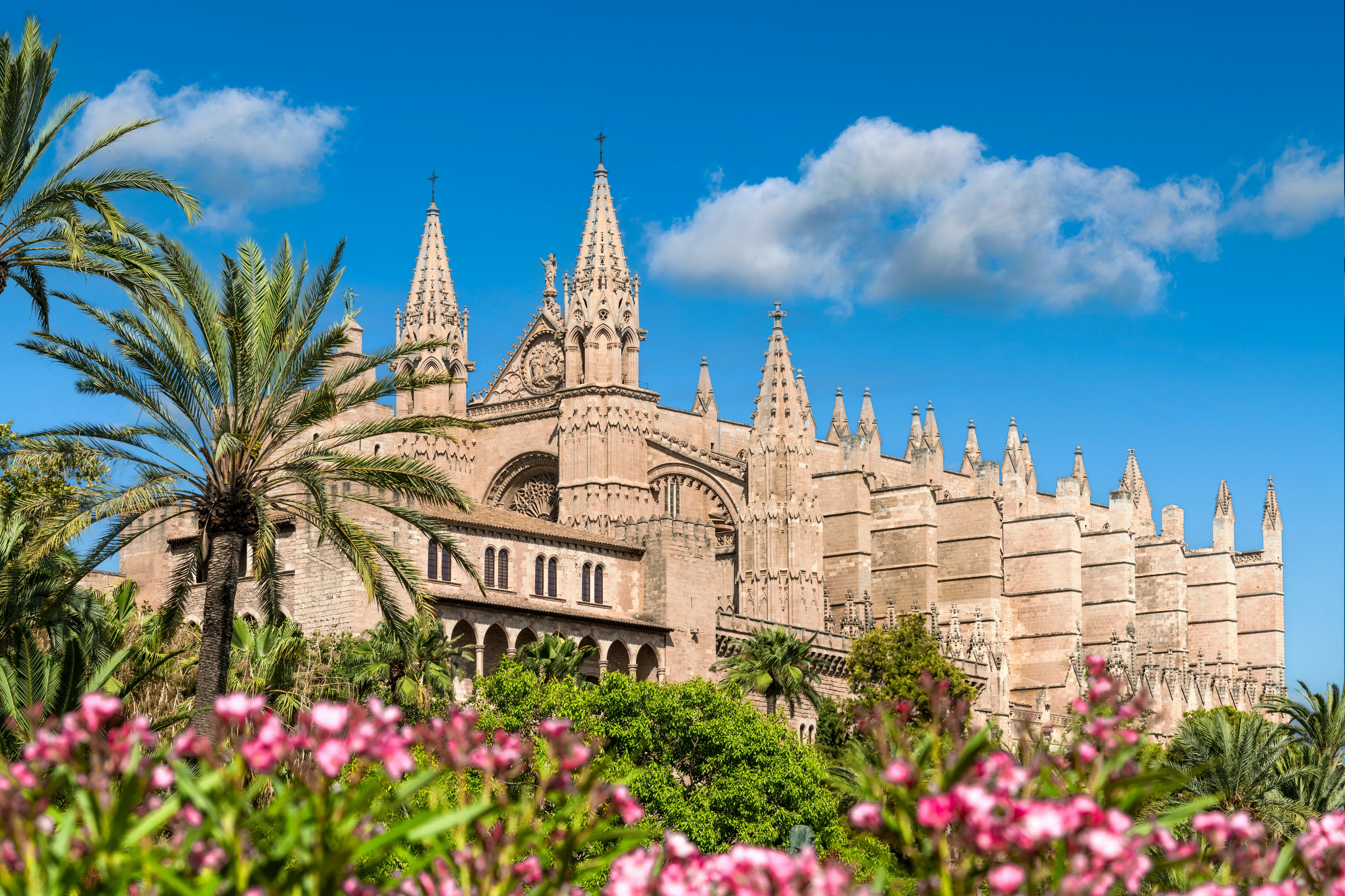 Large Gothic cathedral framed by blue skies, palm trees and wildflowers