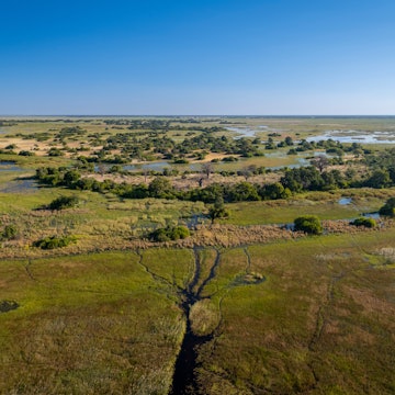 Okavango Delta, This delta in north-west Botswana comprises permanent marshlands and seasonally flooded plains. It is one of the very few major interior delta systems that do not flow into a sea., License Type: media, Download Time: 2025-01-27T15:58:43.000Z, User: Ppeterson948, Editorial: false, purchase_order: 56530 - Guidebooks, job: Global Publishing WIP, client: Global Publishing WIP, other: Pia Peterson Haggarty