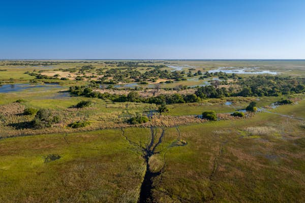 A first-time guide to the Okavango Delta