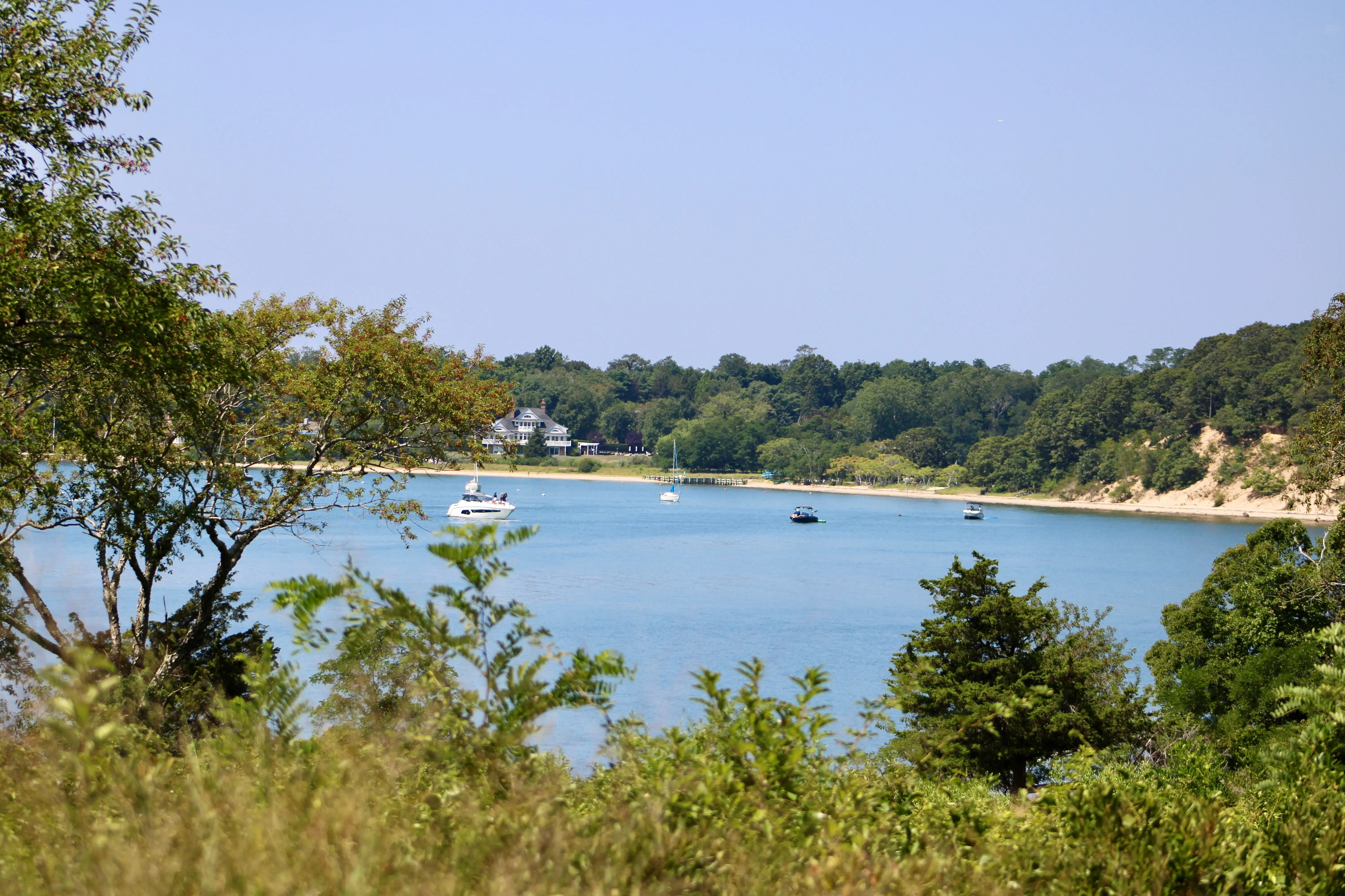 Looking past the greenery to the boats in the bay off the coast of Shelter Island.
