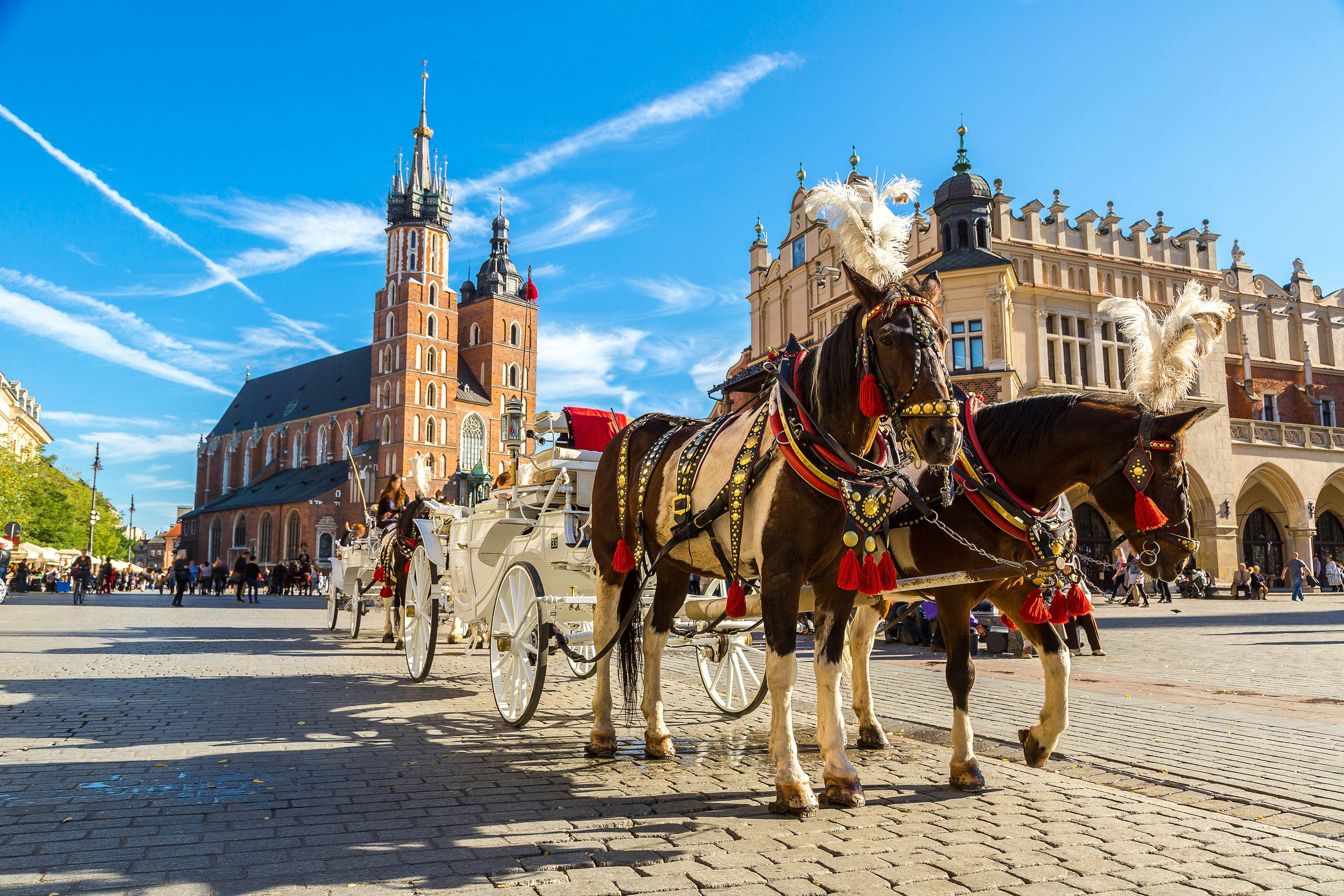 Horse carriages in the main square in Krakow in a summer day, Poland.