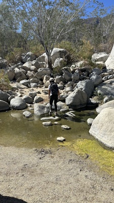 Trail made of boulders with water surrounding and mountain in background.