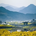 184932132
"Beautiful, Ornamental Garden, Residential Structure, Non-Urban Scene, Building Exterior, Nobody, Beauty In Nature, Jiangxi Province, Asian Culture, Landscaped, Grass, Color Image, Oilseed Rape, Beauty, History, Tranquil Scene, Green, Colors, Ancient, Chinese Culture, Traditional Culture, Architecture, Agriculture, Travel Destinations, Nature, Rural Scene, Outdoors, China, Asia, Tree, Bush, Plant, Autumn, Season, Mountain, Field, Forest, Landscape, Fog, Wall, House, Farm, Formal Garden, Built Structure, wuyuan"
Wuyuan, china: terraced field - stock photo