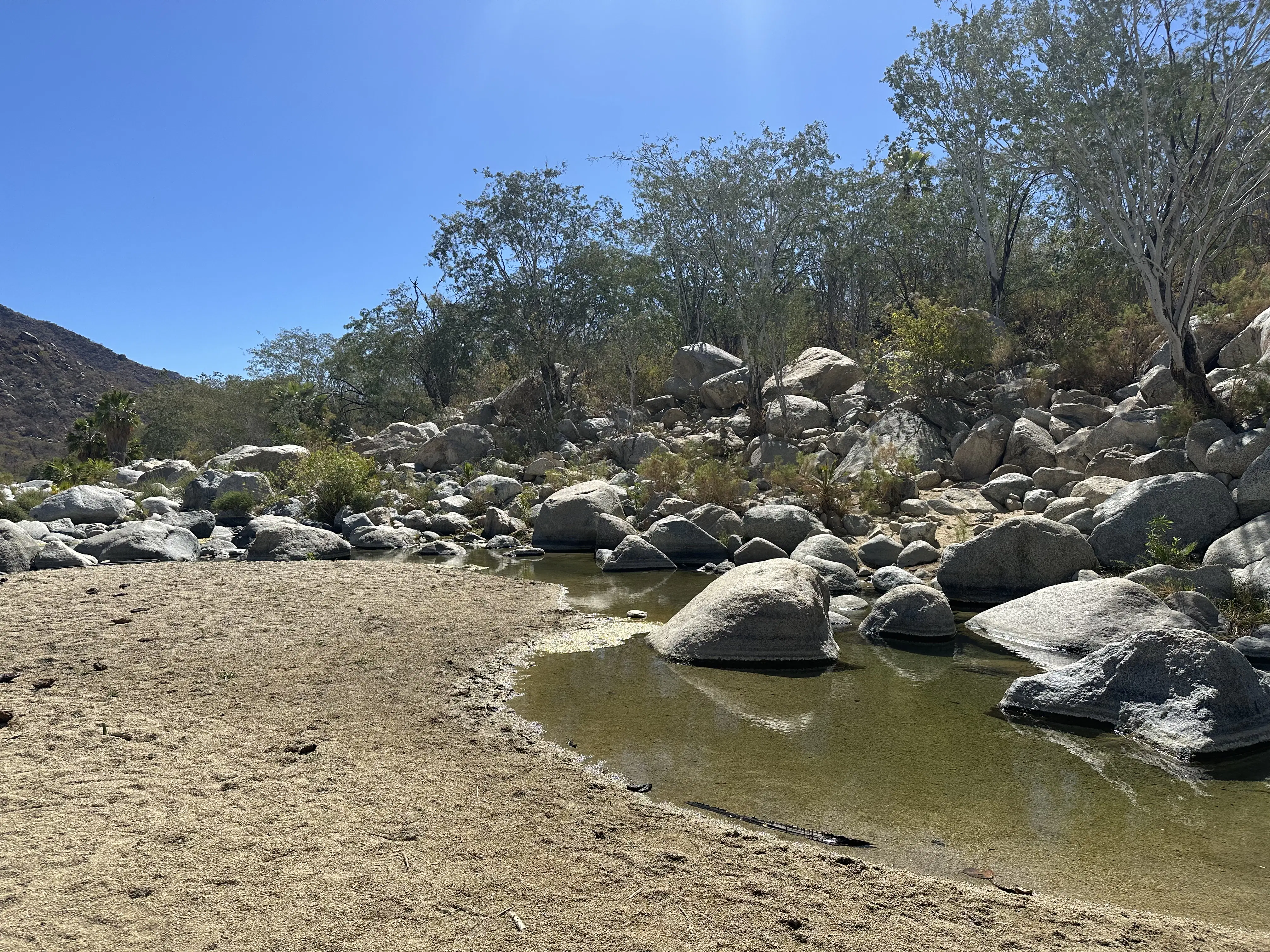 Hiker with grey backpack and baseball cap balancing on rock while crossing water on a hike in El Refugion.