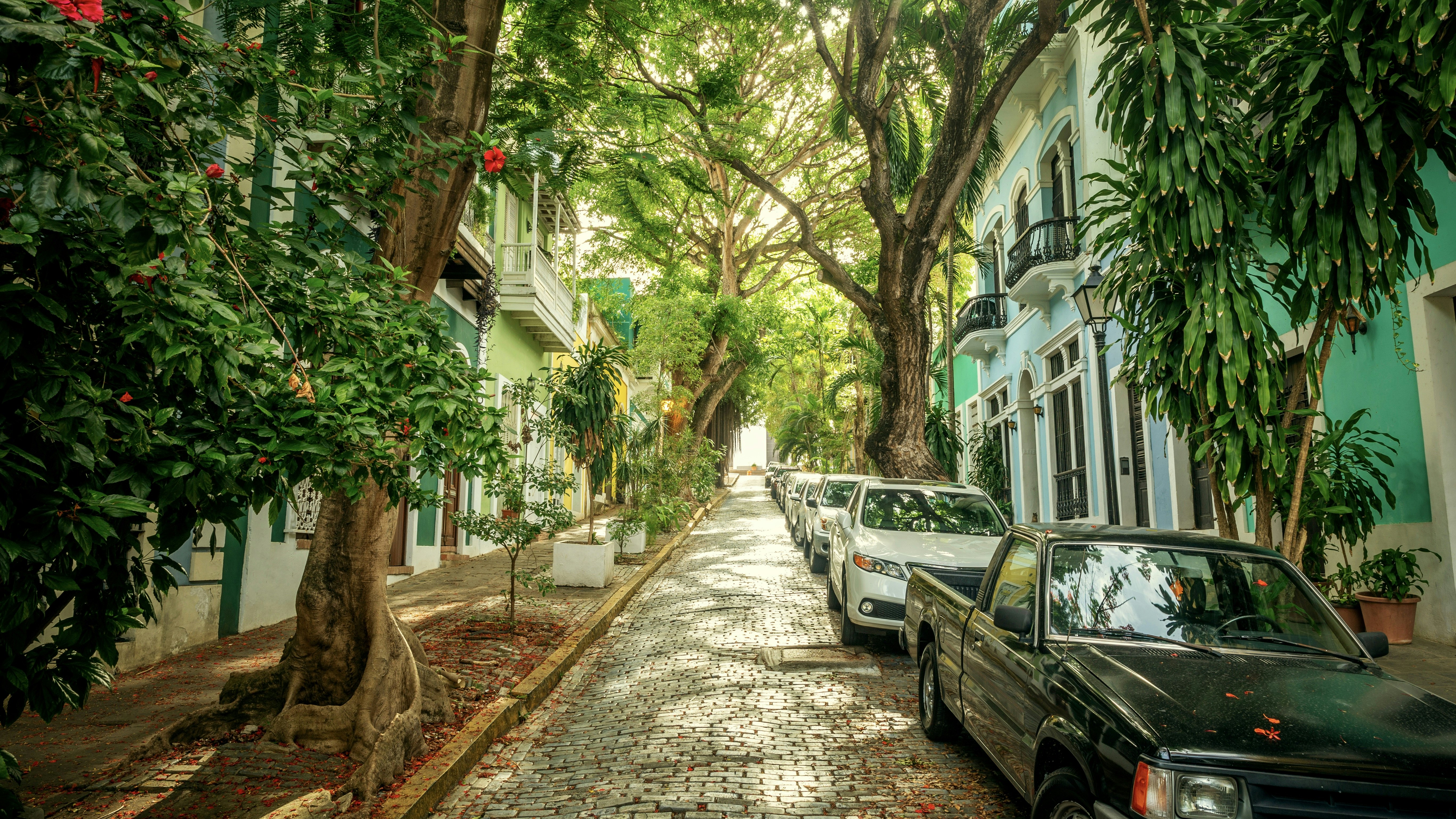 Cars are parked on one side of a tree-lined street in Puerto Rico; colorful houses line both sides of the cobblestone street.