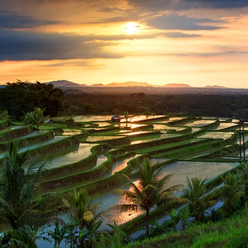 Famous Jatiluwih Rice terraces on Bali during sunrise, Indonesia, License Type: media, Download Time: 2025-04-20T15:53:06.000Z, User: bhealy950, Editorial: false, purchase_order: 65050 - Digital Destinations and Articles, job: Lonely Planet Online Editorial, client: Best things to do in Bali, other: Brian Healy