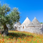 Trulli, typical houses near Alberobello-Puglia-Italy, License Type: media, Download Time: 2024-11-16T13:37:59.000Z, User: nic.dhoedt_lonelyplanet, Editorial: false, purchase_order: 56530 - Guidebooks, job:  Global Publishing WIP, client: Lonely Planet Italy 17, other: Nicolas D'Hoedt