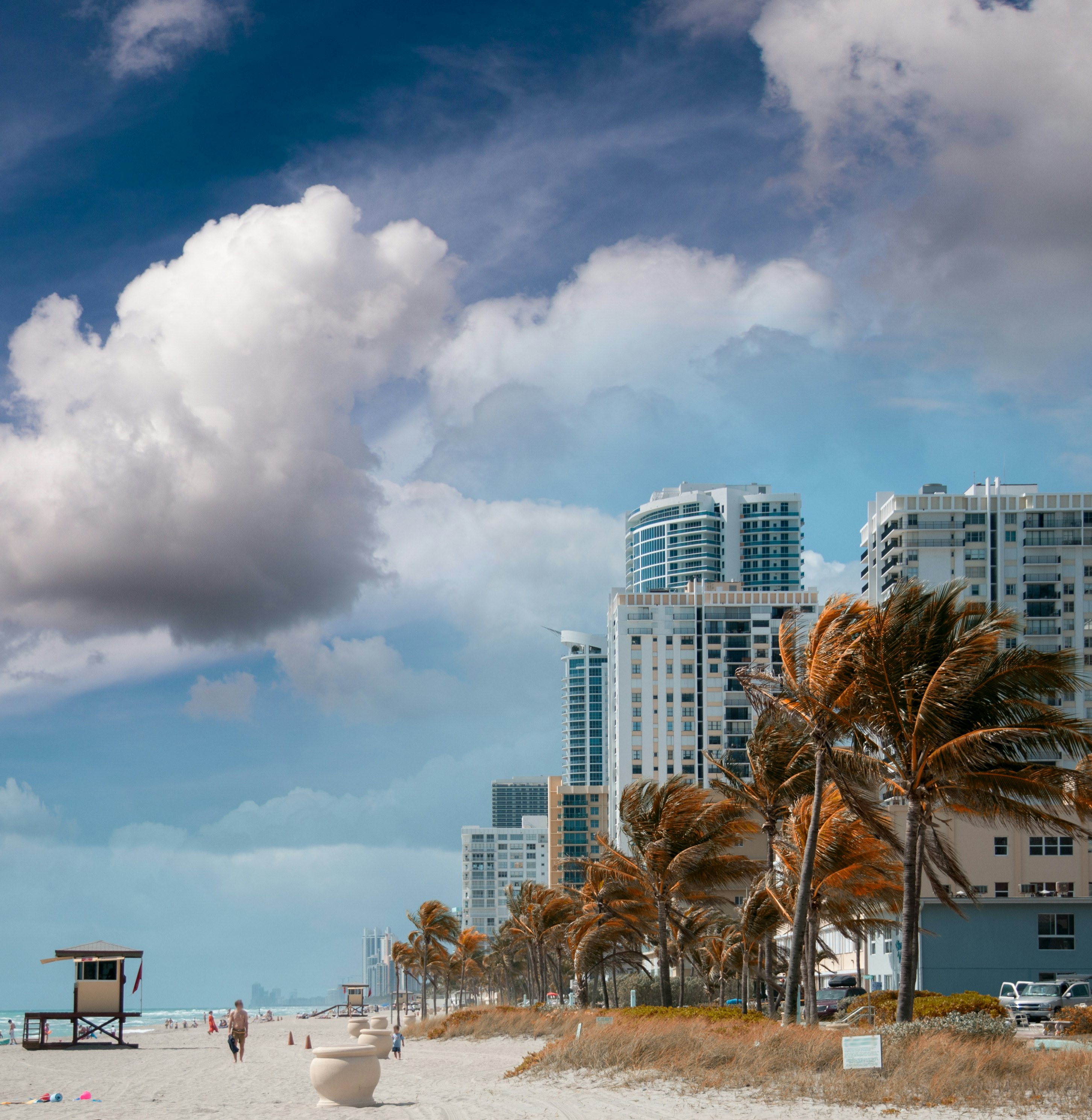 A lifeguard stand is to the far left side of a white sand beach that has few visitors; reddish palm trees line the edge of the beach, with tall buildings on the other side.