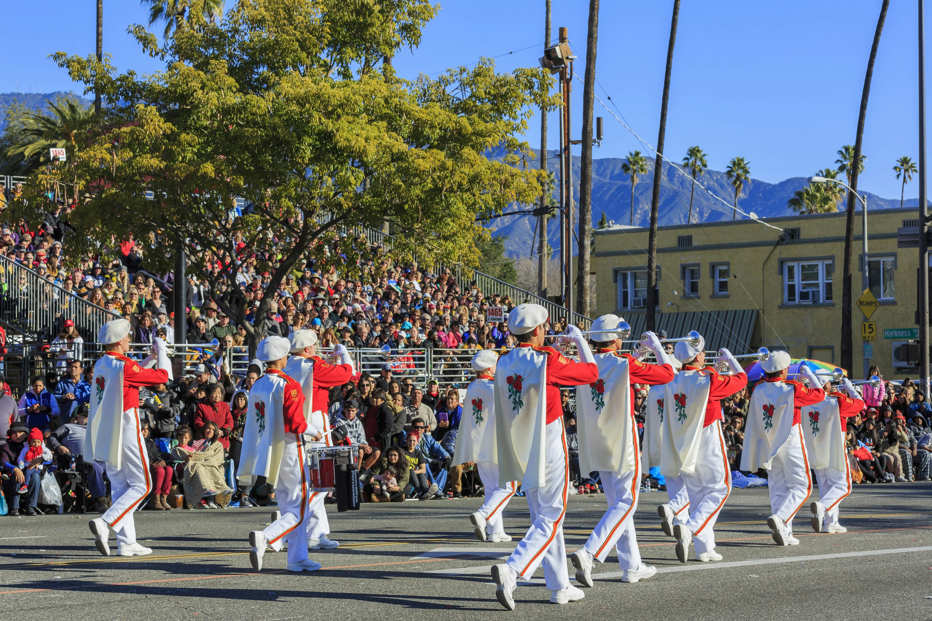 A marching band participates in a parade in a city as spectators look on. Palm trees and other vegetation line the street under a blue sky.