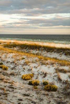 Plan your trip to Destin-Fort Walton Beach, Florida