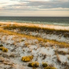 DFWB, Destin, Emerald Coast, Florida, Gulf Coast, bayou, beach, creek, sand dunes, tech scout, tourism
Courtesy photos from Destin-Fort Walton Beach tourism
Article: Plan your summer vacation to Destin-Fort Walton, FL