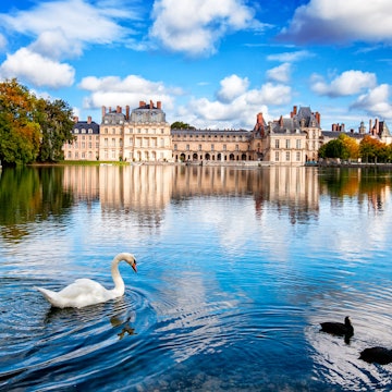 Swan Lake in front of Fontainebleau Castle, France License Type: media Download Time: 2023-11-08T07:53:55.000Z User: Norma.PrauseBrewer_LonelyPlanet Is Editorial: No purchase_order:
Animal, Bird, Building, Castle, Fortress, Nature, Outdoors, Scenery, Water