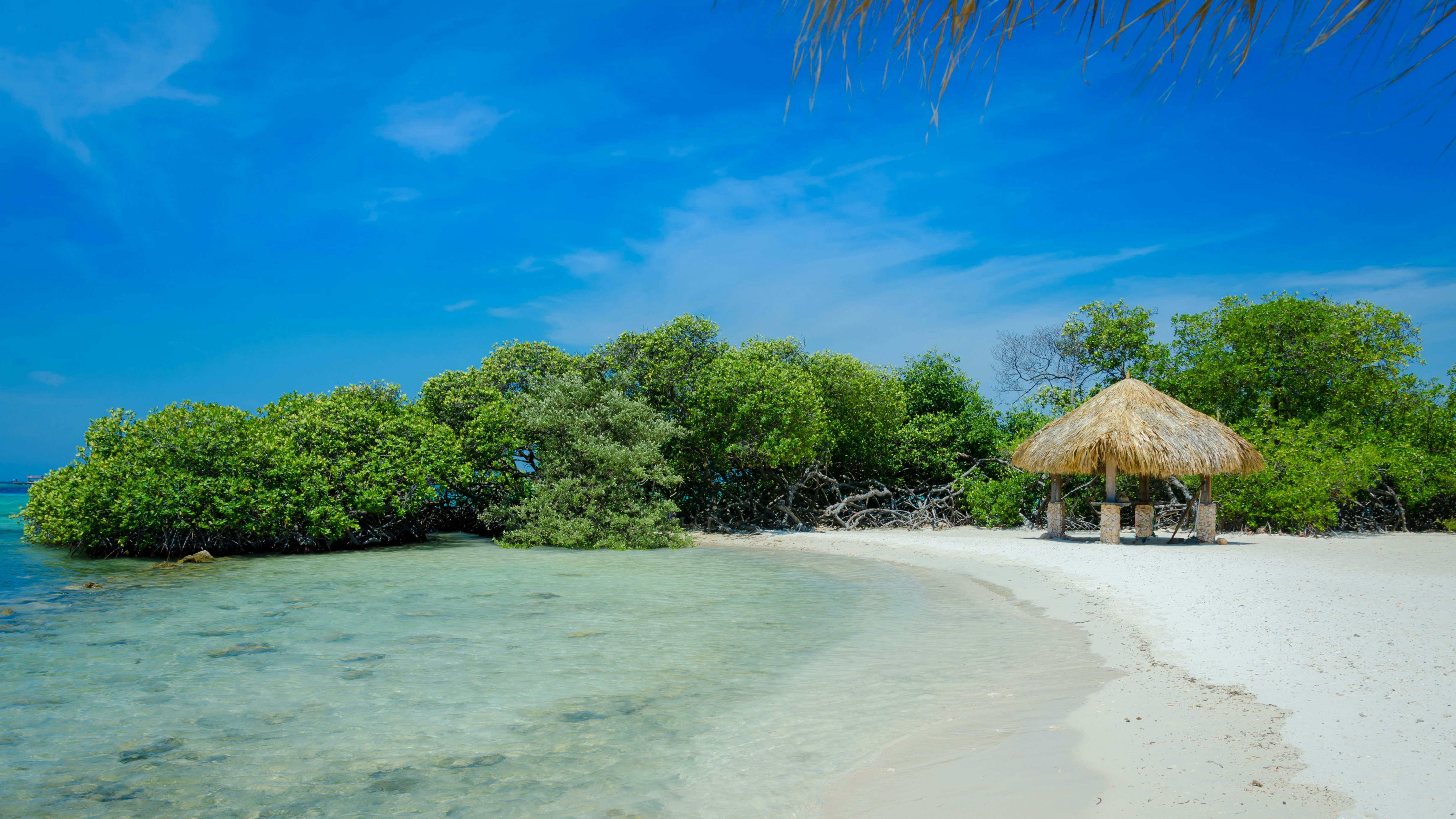 Looking through the mangrove trees in Mangel Halto beach in Aruba