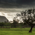 MAKENI, SIERRA LEONE - June 06, 2013: West Africa, the mountain and the forest near Makeni on a thunderstorm day, Sierra Leone
1065361670
africa, agriculture, atlas, balance, basket, beam, bicycle, border, carry, city, colours, country, countryside, destination, freetown, geography, hair, harbor, harbour, hot, house, leone, man, map, nature, peasant, people, pin, pole, retro, road, route, sea, ship, sierra, state, tank, town, traditional, transportation, travel, two, village, vintage, walking, water, work, worker, yellow, Countryside, Field, Grassland, Landscape, Nature, Outdoors, Savanna, Scenery, Tree, Tree Trunk
MAKENI, SIERRA LEONE : West Africa, the mountain and the forest near Makeni on a thunderstorm day, Sierra Leone