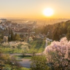 Scenic view of Prague tiled roofs during sunrise in spring. Towers of St Vitus and St. Nicholas church seen from Petrin hill viewpoint. Romantic golden sun glow in morning and blooming trees in a park, License Type: media, Download Time: 2025-02-18T13:53:55.000Z, User: comptonsheldon109, Editorial: false, purchase_order: 56530 - Guidebooks, job: Global Publishing WIP, client: Prague & Czechia 14, other: Compton Sheldon