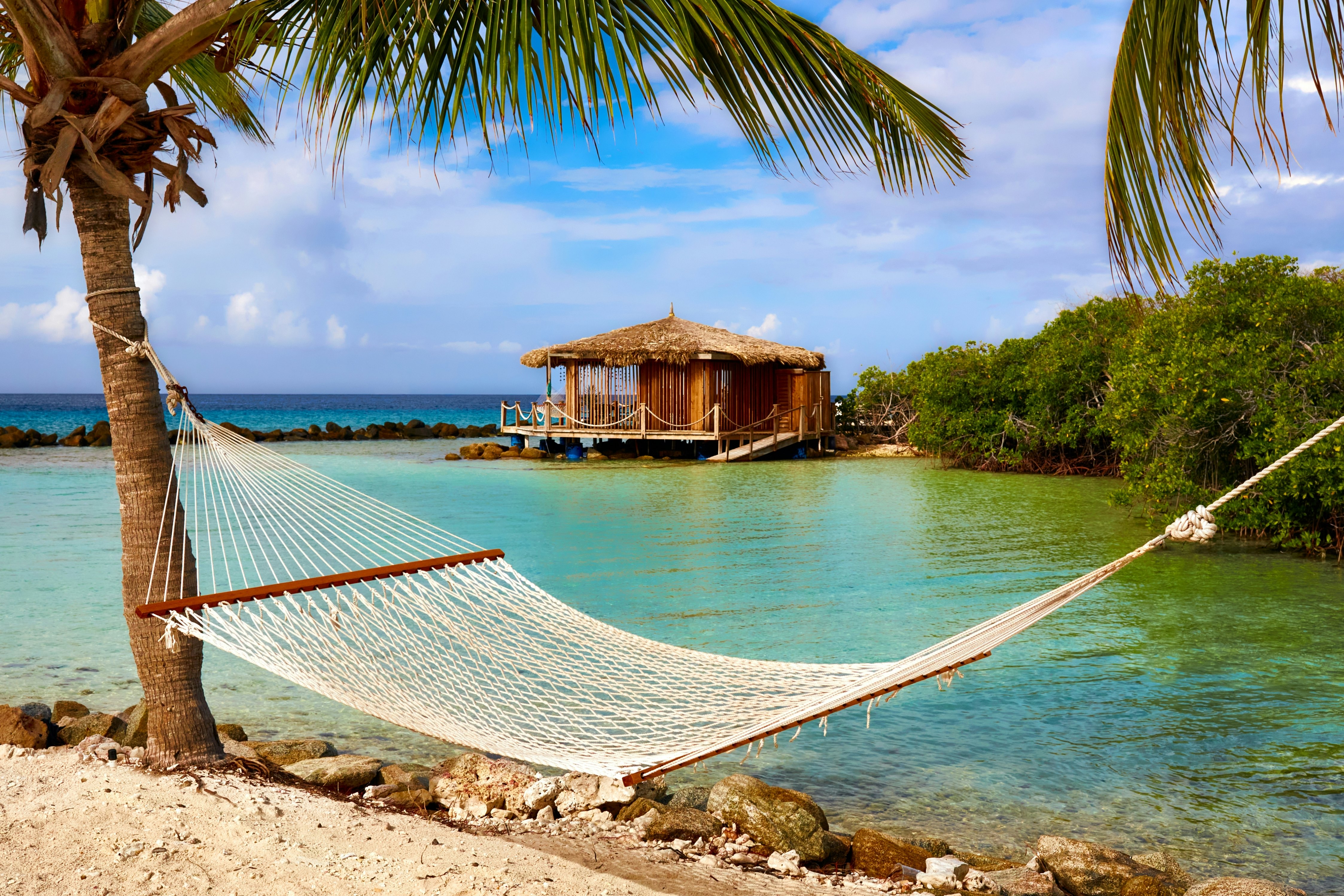A relaxing view of a hammock beside the beach