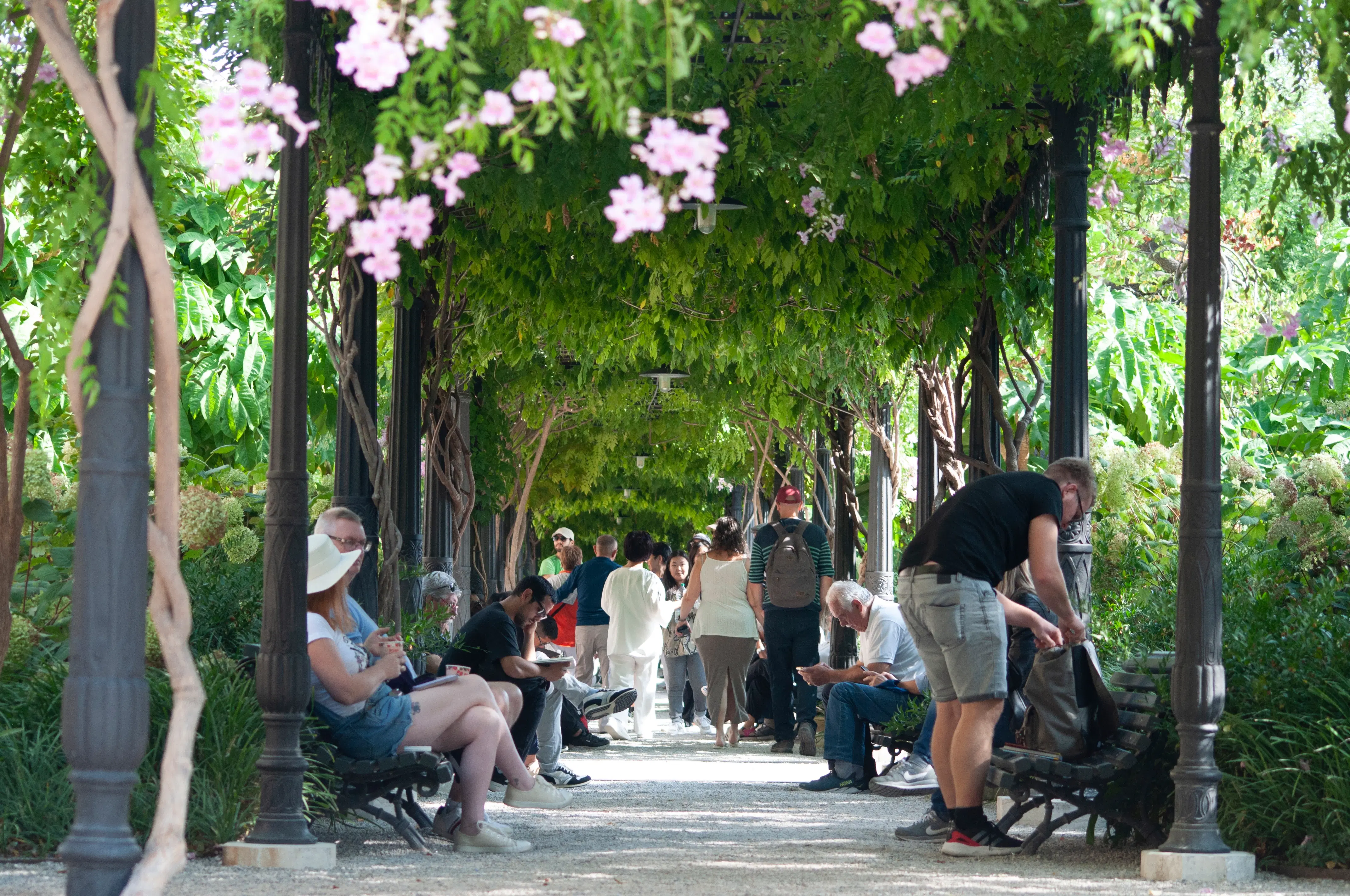 the-best-parks-in-venice-lonely-planet