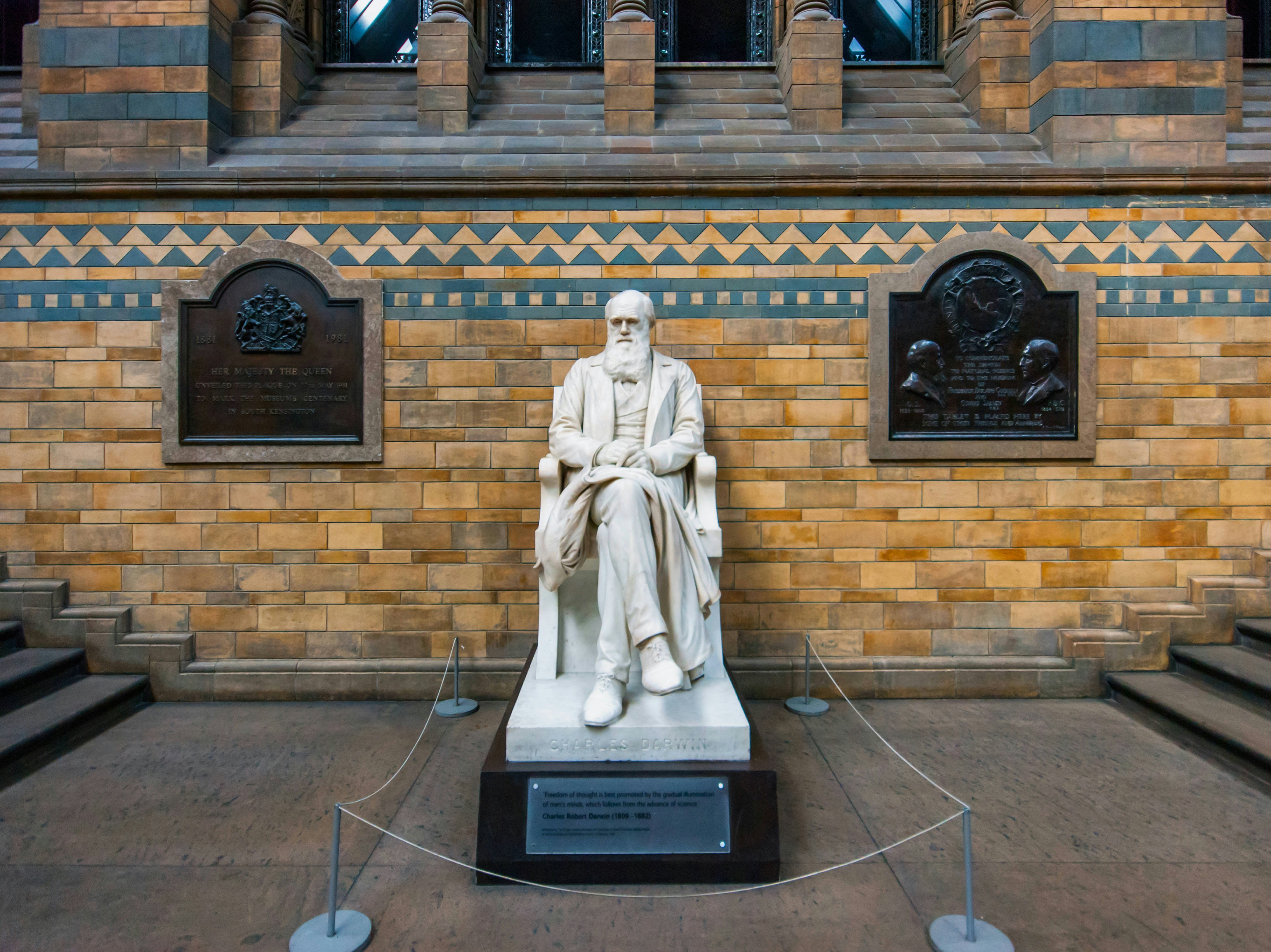 Marble statue of a seated Charles Darwin in the Hintze Hall of the Natural History Museum.