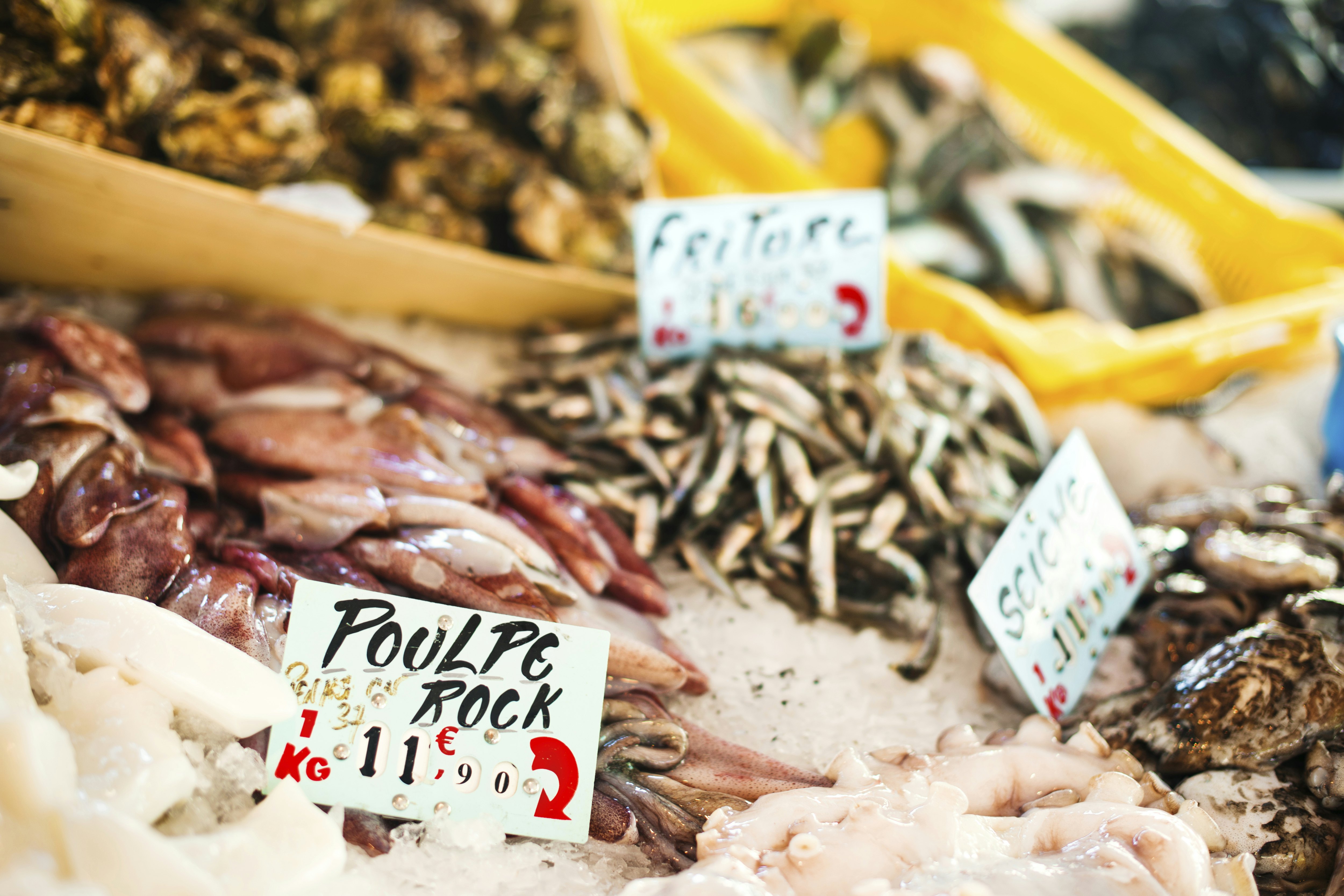 Seafood for sale at fish market with signage