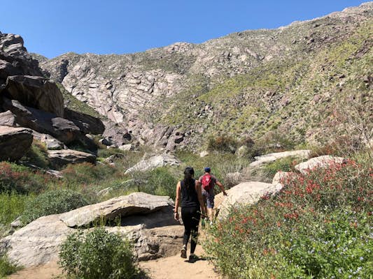 The 10 best things to do in Palm Springs