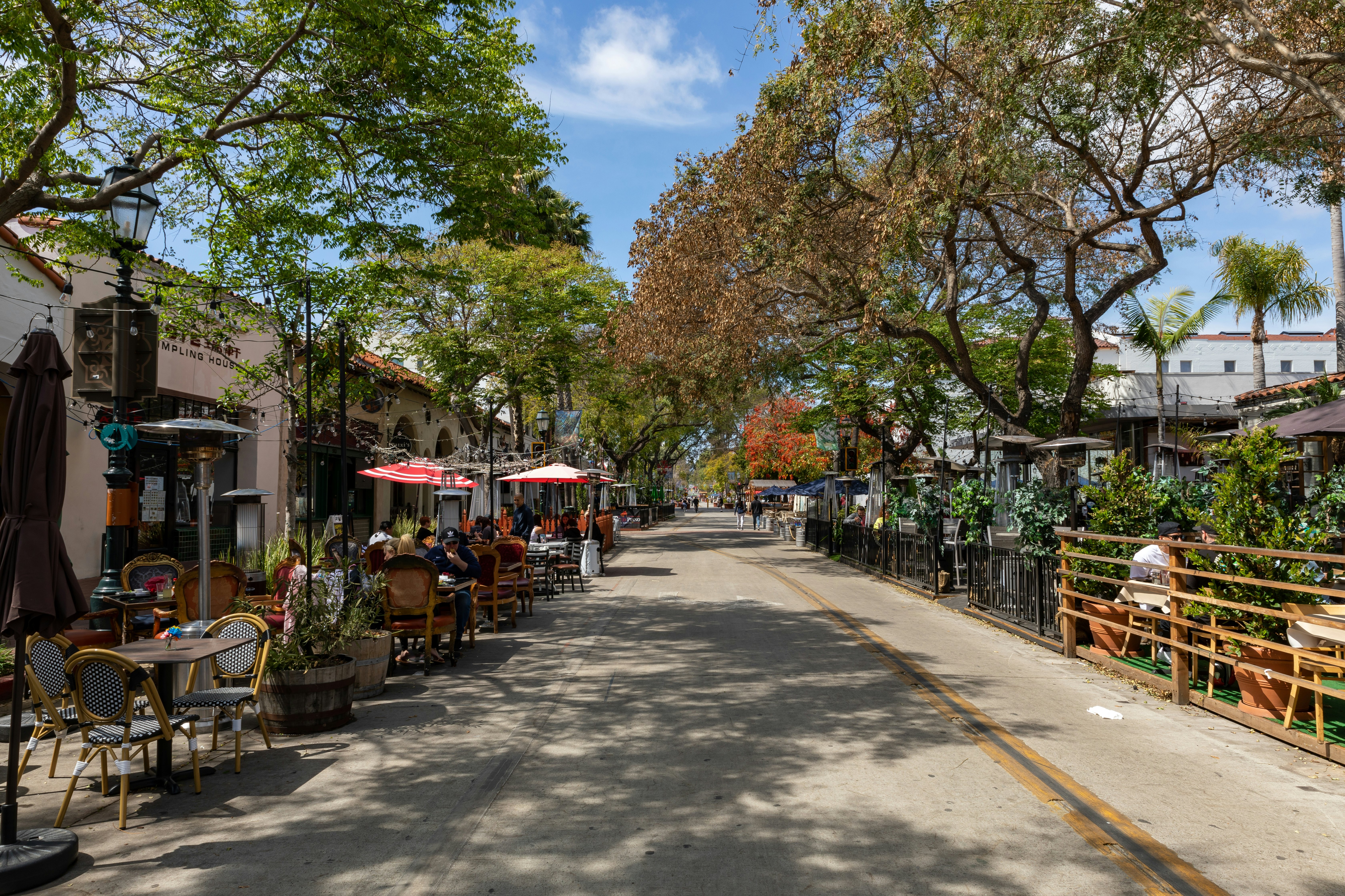 State Street, shaded by trees and without cars