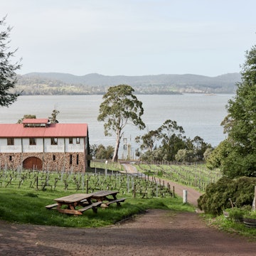 Marion's Vineyard, Tamar Valley, Tasmania
September 2024, Launceston, Tasmania, Australia, Shot for Best in Travel 2025.
