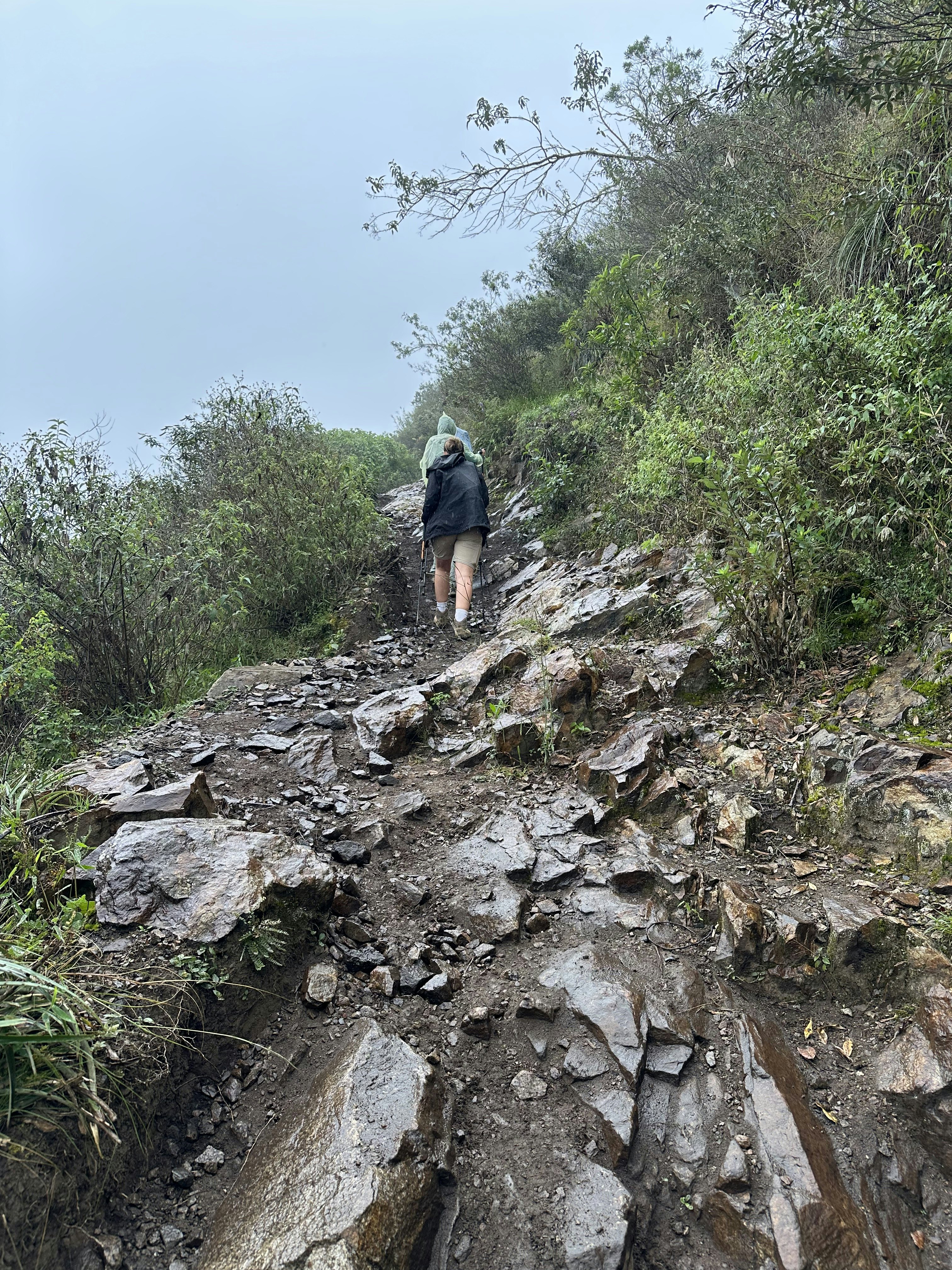 Two people going up a steep, rocky incline with greenery on both sides of the incline