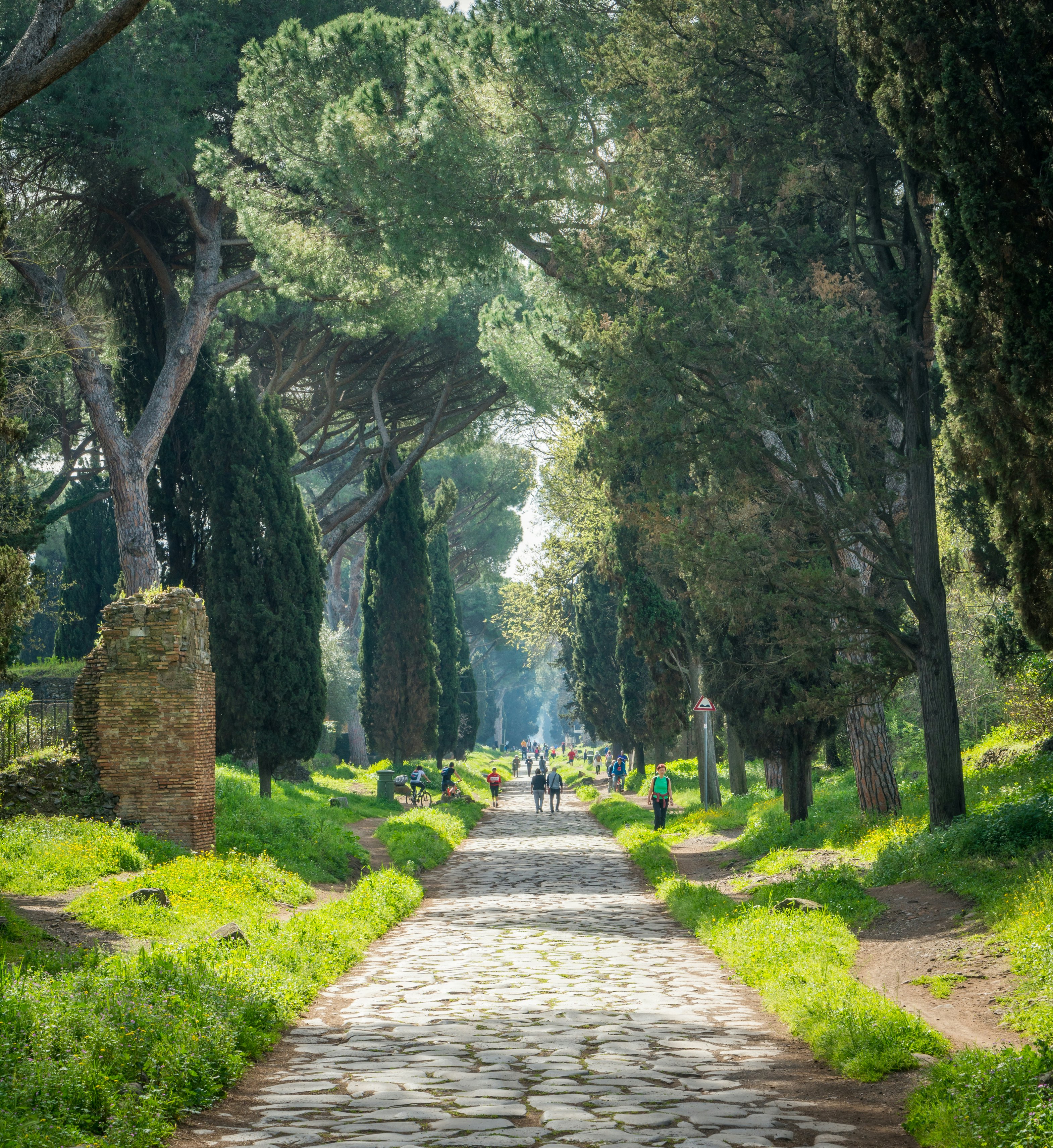 People walk along a long cobbled pedestrian street lined with trees.