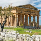 Temple of Hera II (also erroneously called the Temple of Neptune or of Poseidon, ancient Greek temple in the Doric order in Poseidonia (Paestum), Campania, Italy, License Type: media, Download Time: 2024-11-16T14:17:12.000Z, User: nic.dhoedt_lonelyplanet, Editorial: false, purchase_order: 56530 - Guidebooks, job: Global Publishing Wip, client: Lonely Planet Italy 17, other: Nicolas D'Hoedt